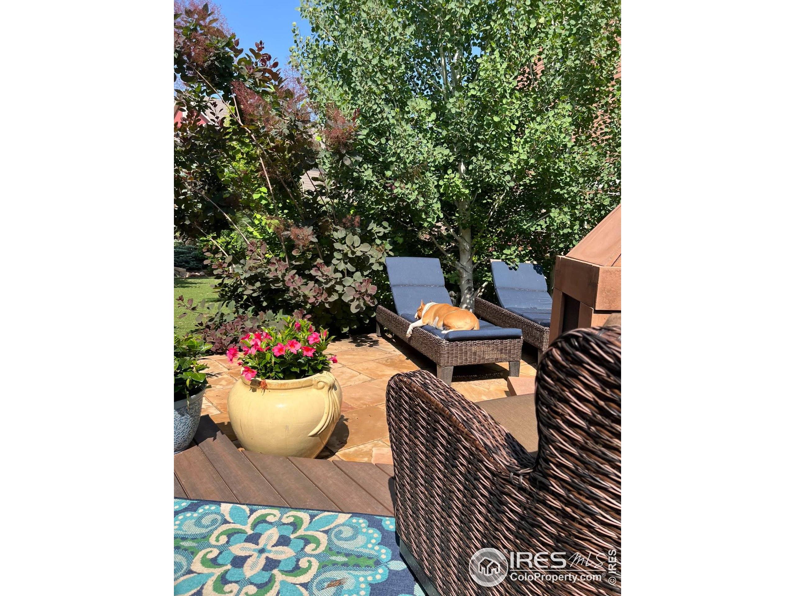 Loveland, CO 80538,2415 Bluestem Willow Dr