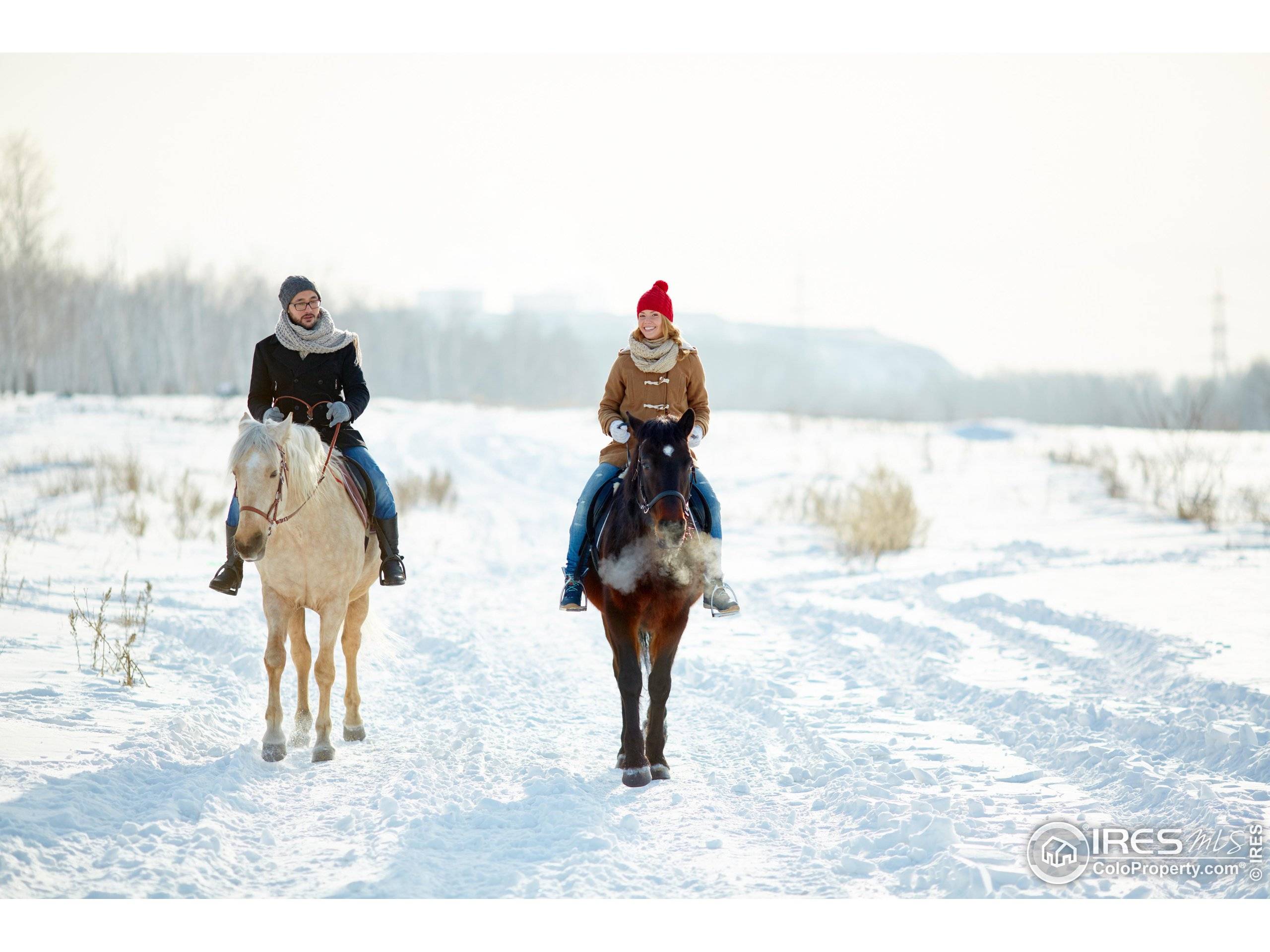 Nederland, CO 80466,15 Ridge View Rd