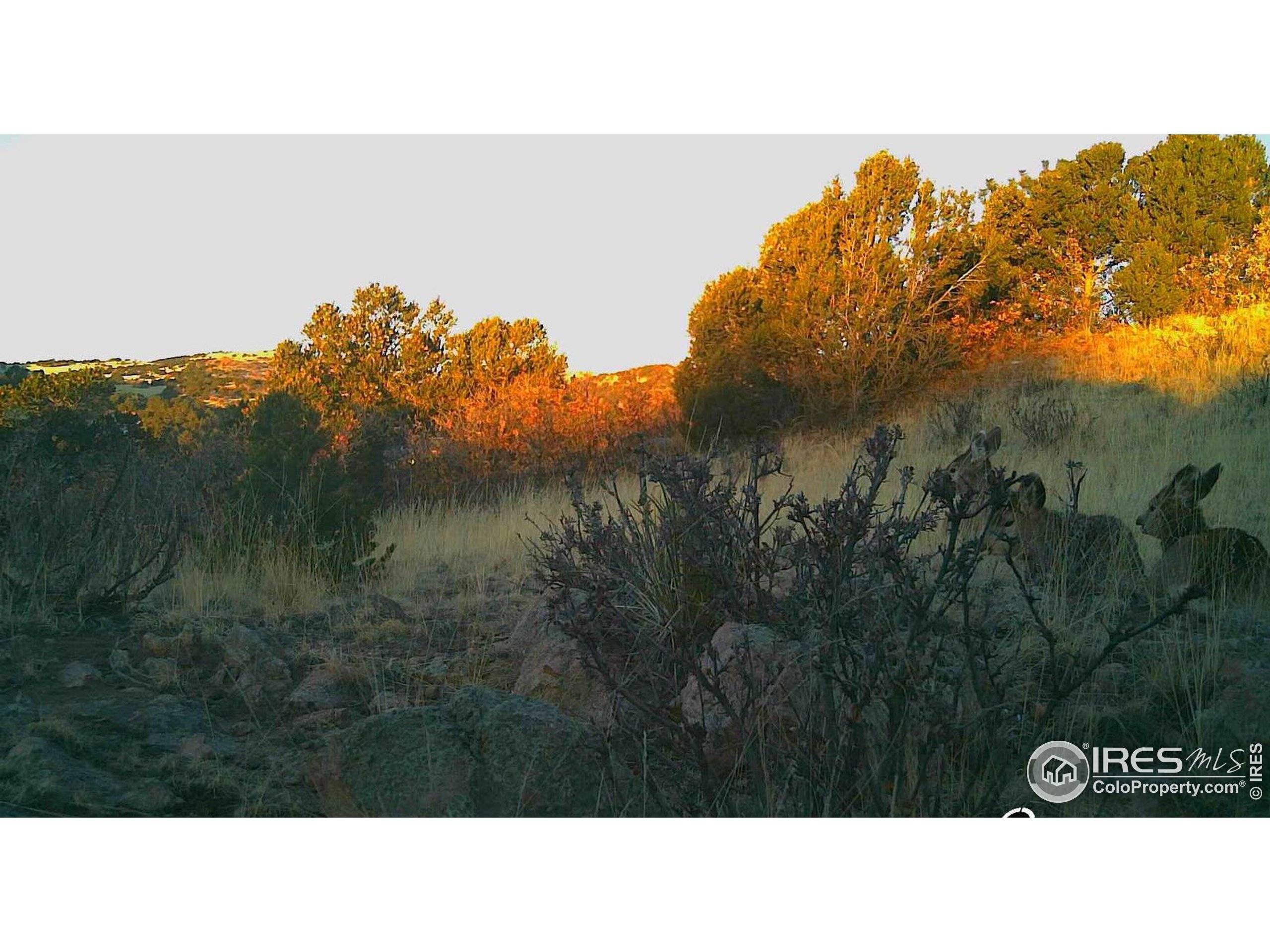 Canon City, CO 81212,0 Cap Rock Rds #4
