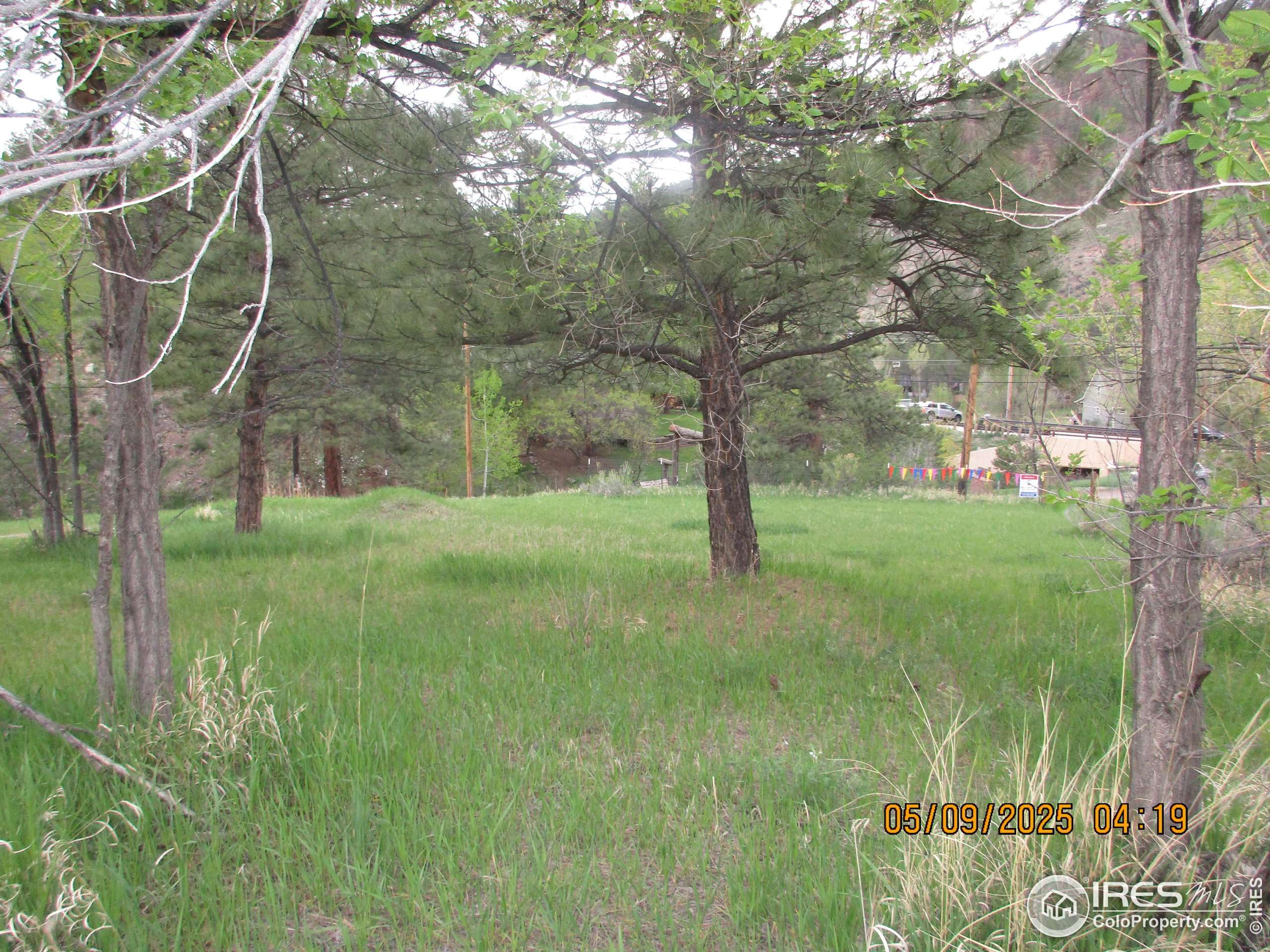 Loveland, CO 80537,TBD Bartram Park Rd
