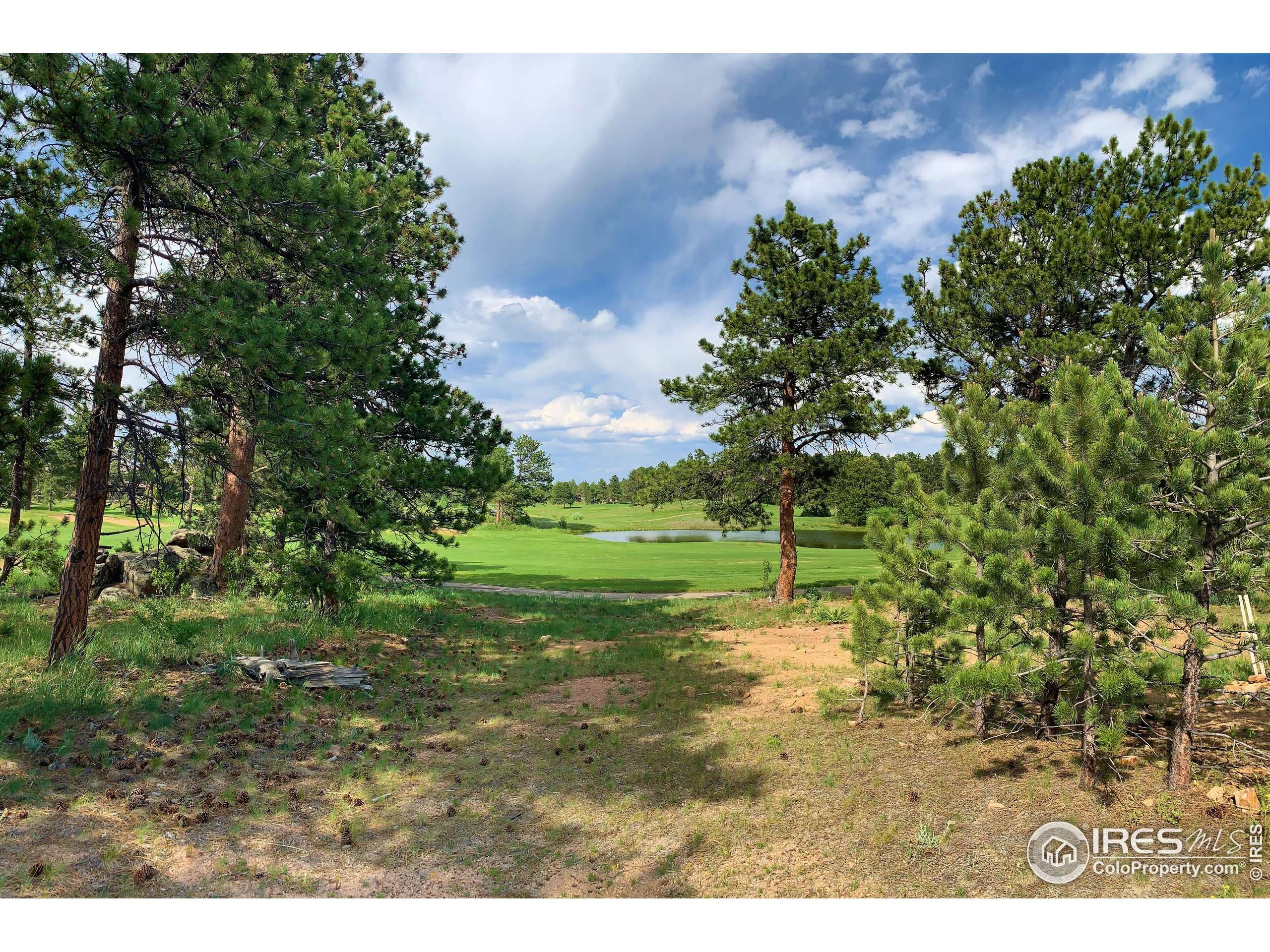 Red Feather Lakes, CO 80545,2 E Fox Meadow Ln