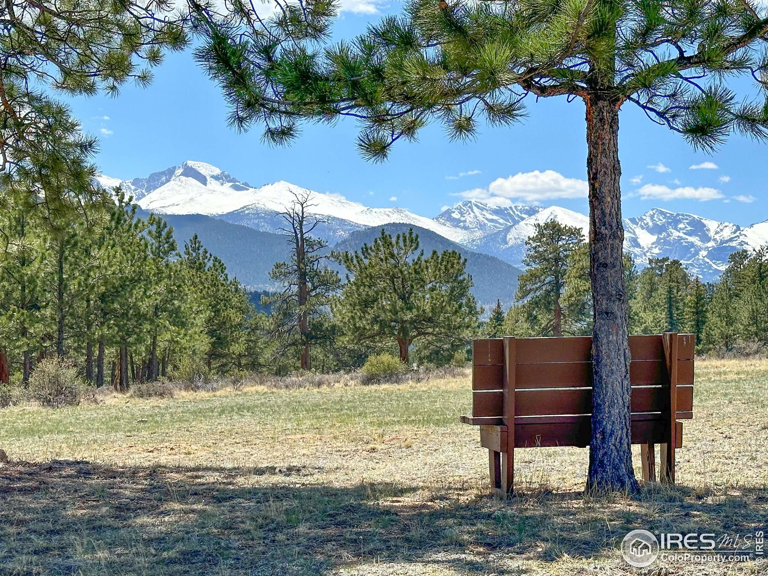 Estes Park, CO 80517,871 East Ln
