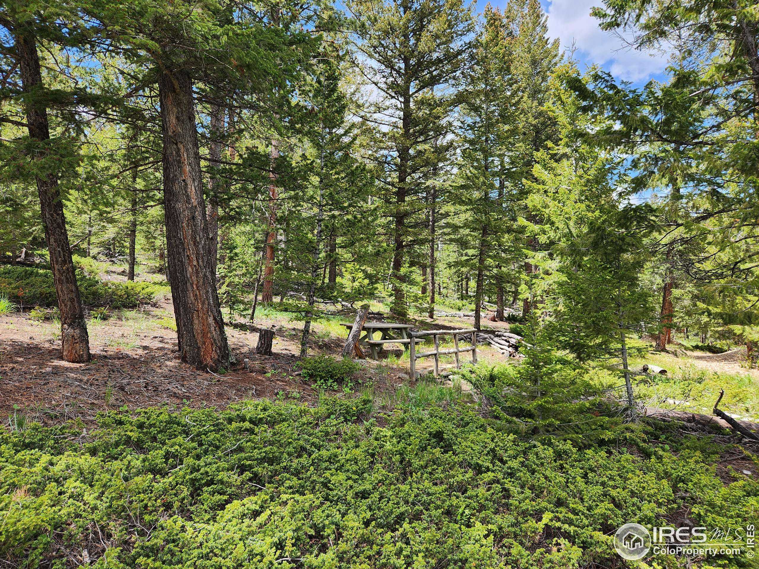 Red Feather Lakes, CO 80545,106 Beartrap Rd
