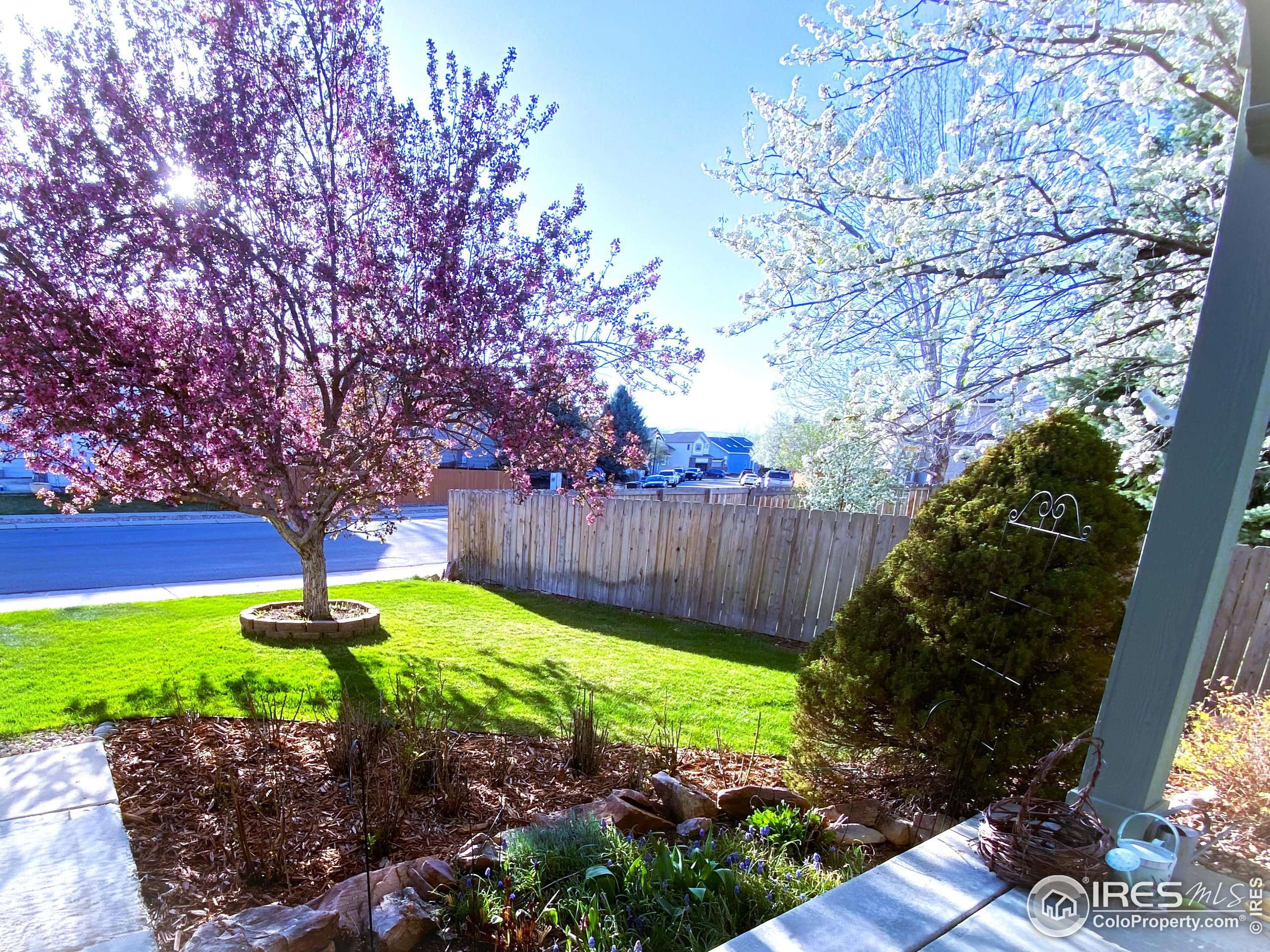 Longmont, CO 80503,3469 Larkspur Dr