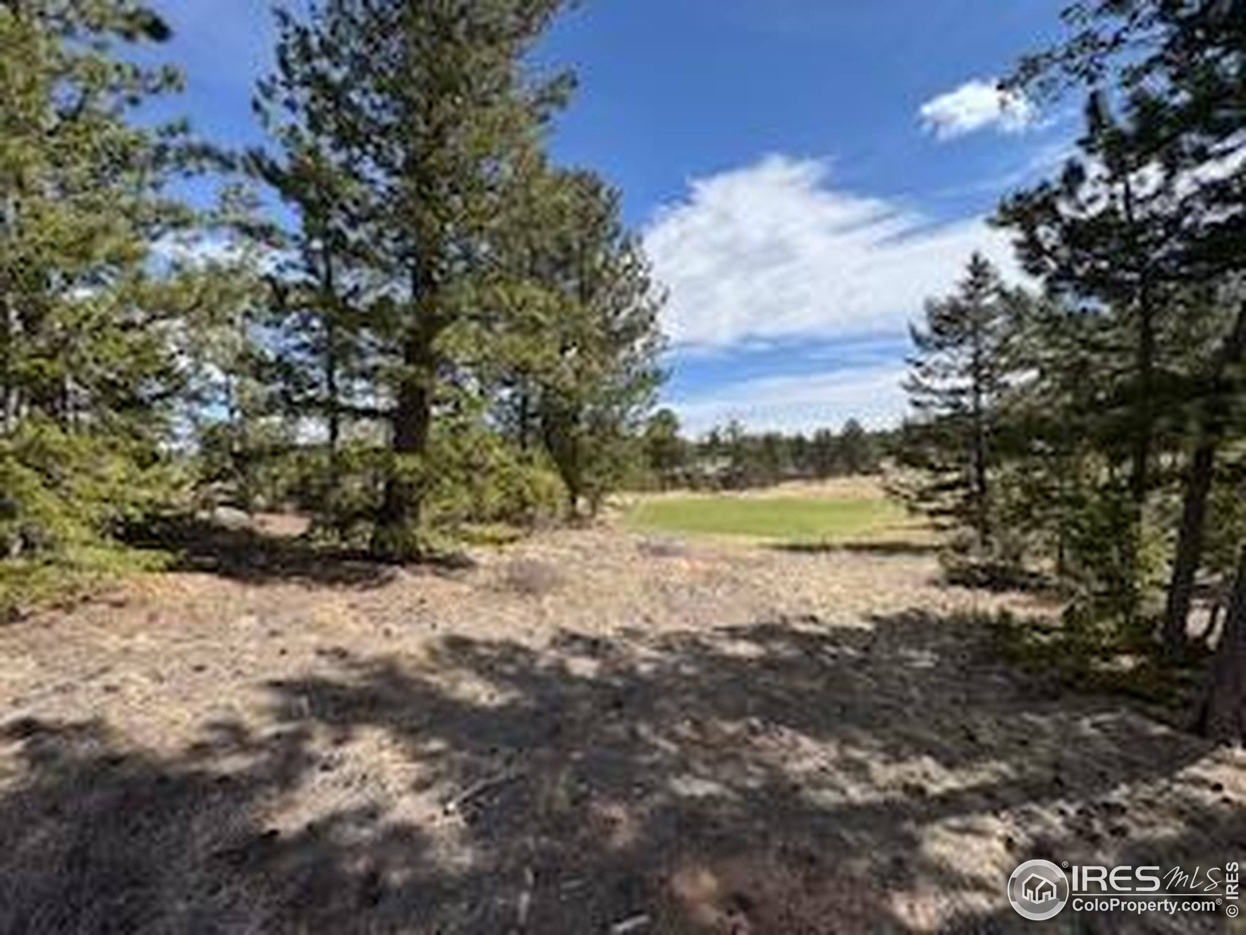 Red Feather Lakes, CO 80545,2835 Fox Acres Dr E