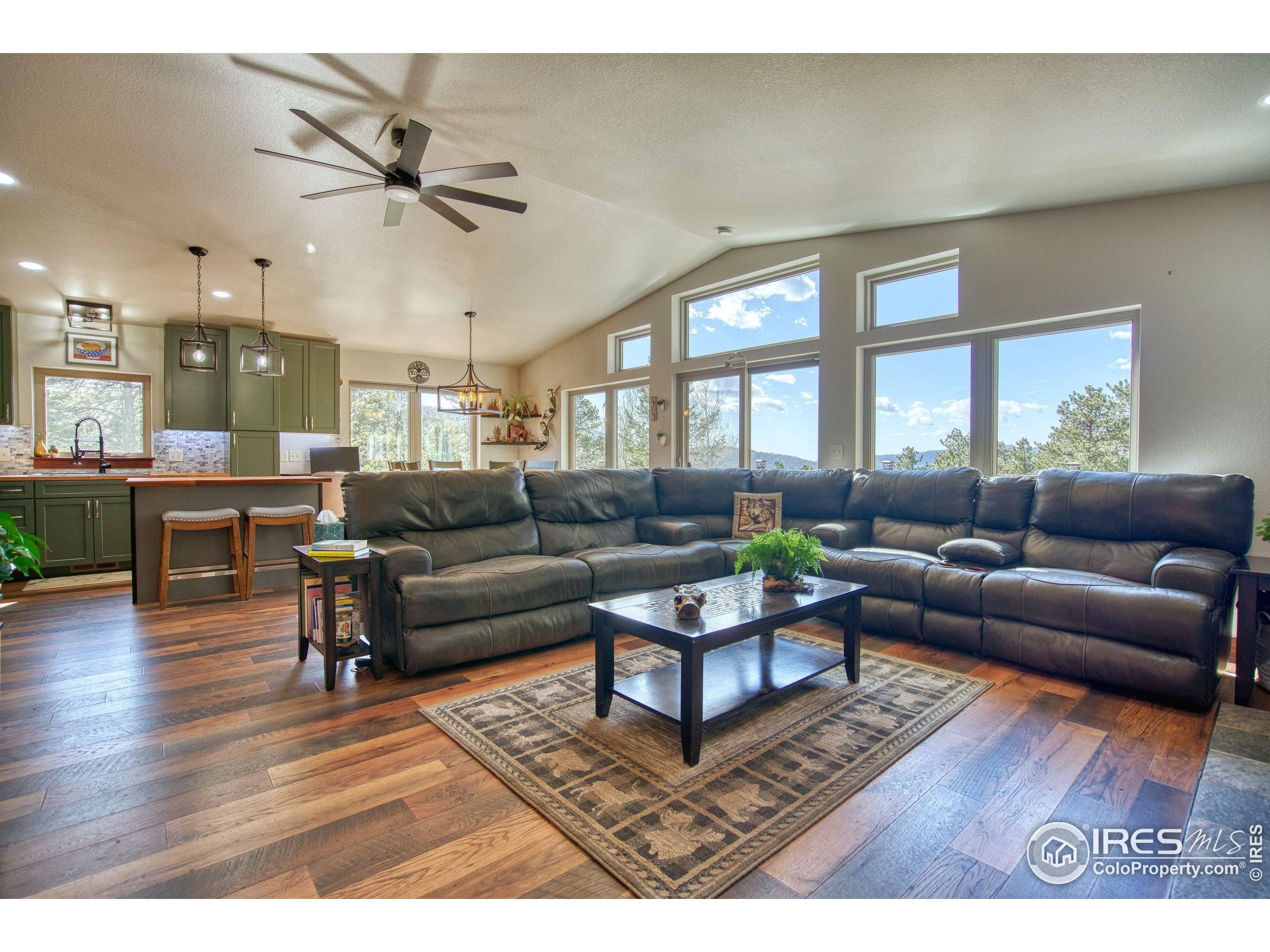 Estes Park, CO 80517,61 Country Sky Ln