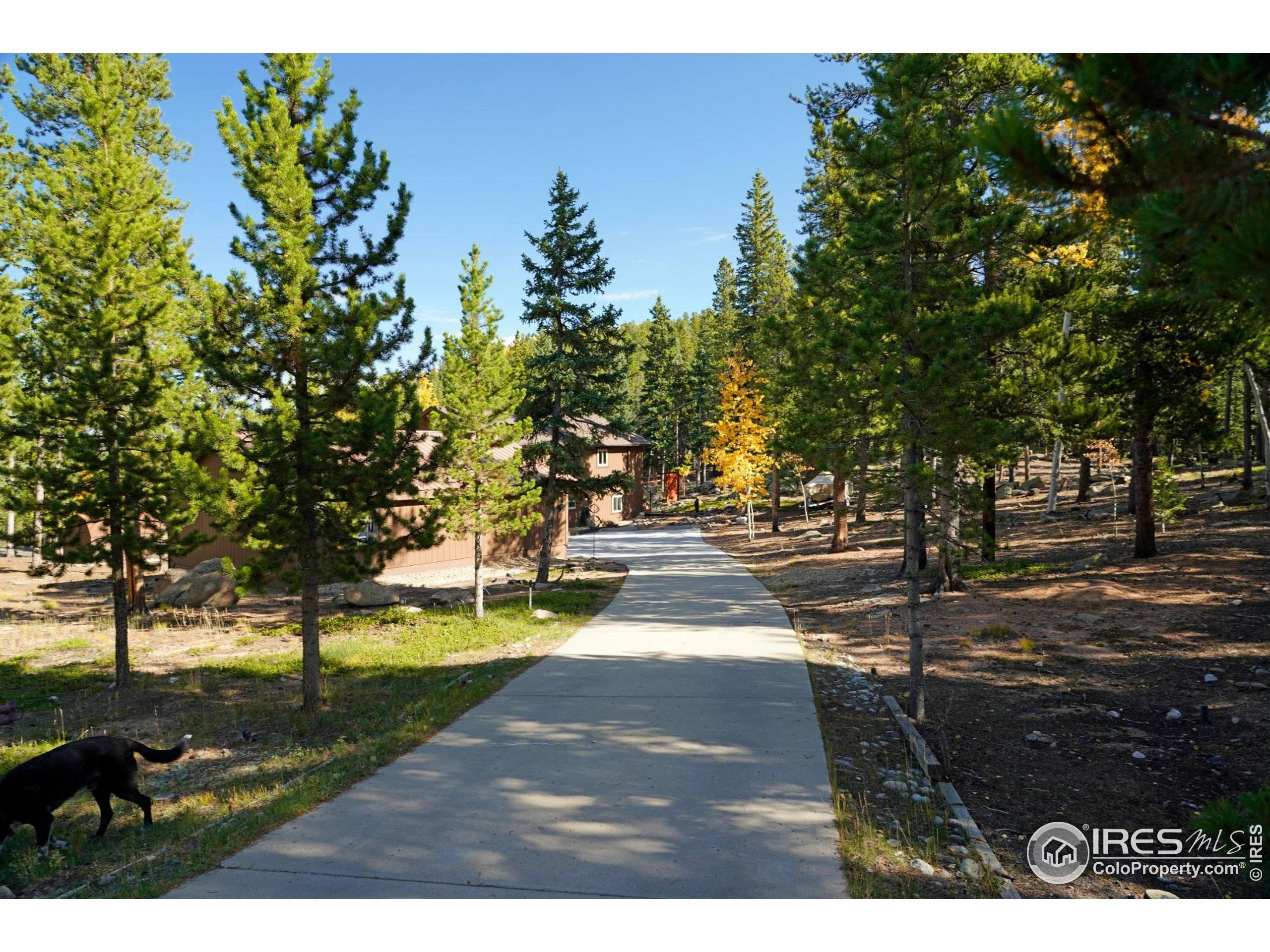 Conifer, CO 80433,10649 Christopher Dr