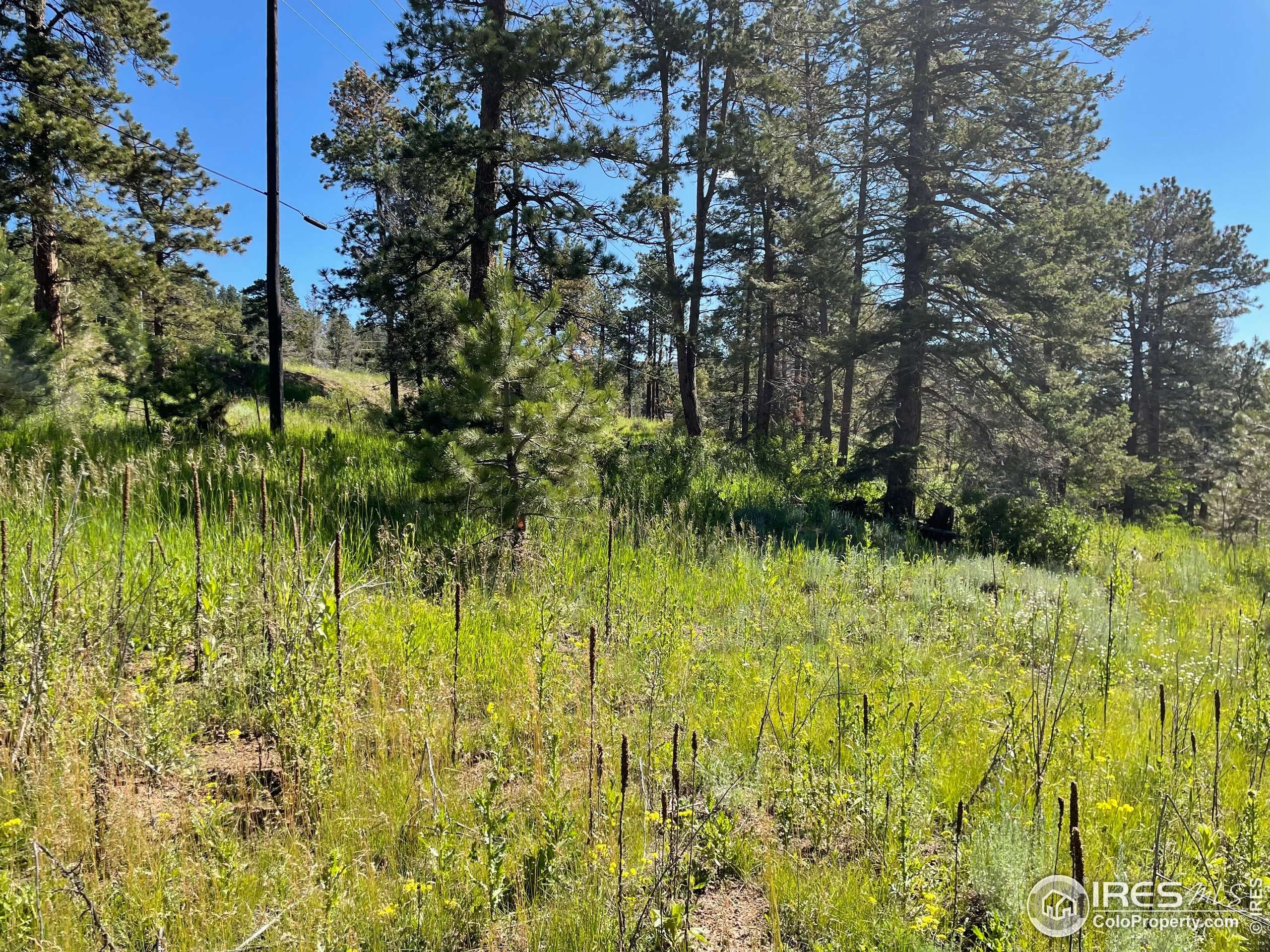 Conifer, CO 80433,27271 Log Trl