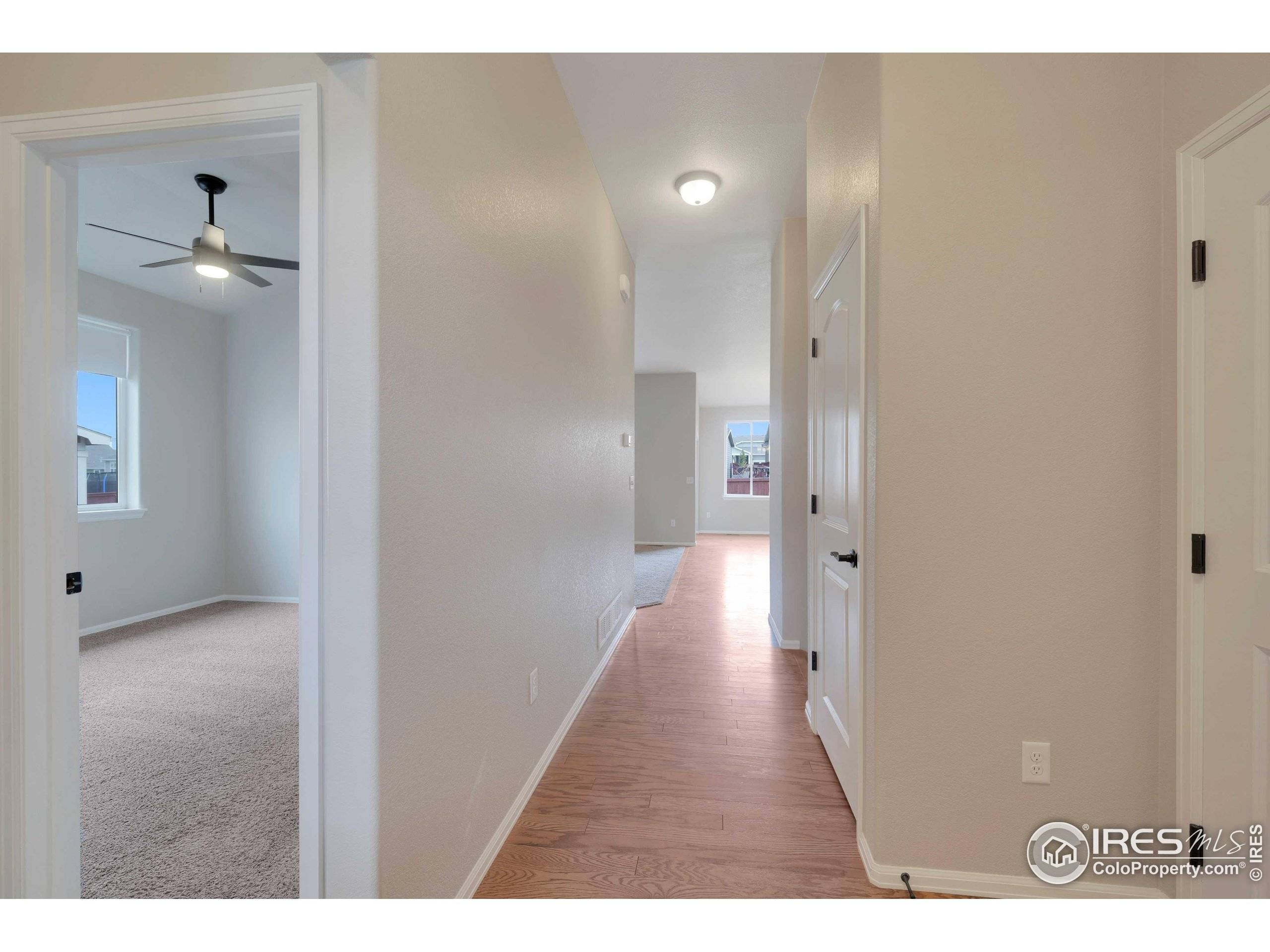Windsor, CO 80550,1867 Abundance Dr