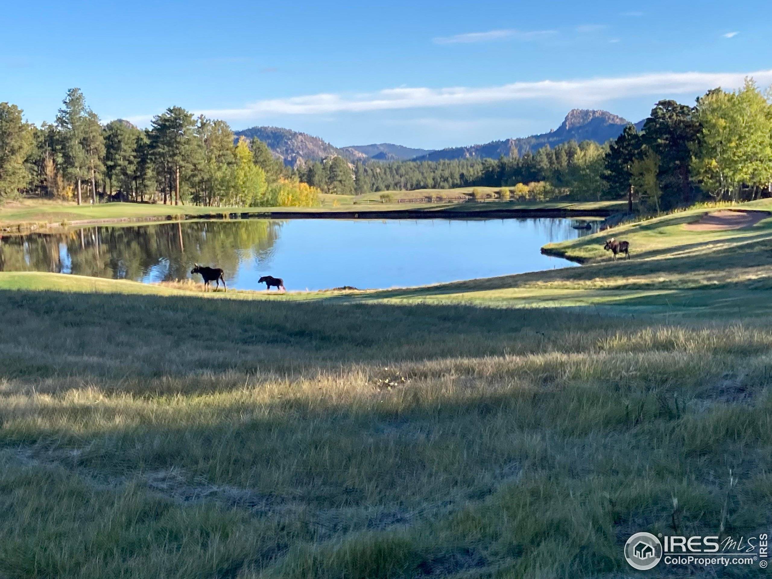 Red Feather Lakes, CO 80545,3020 Lake Arapahoe Ct