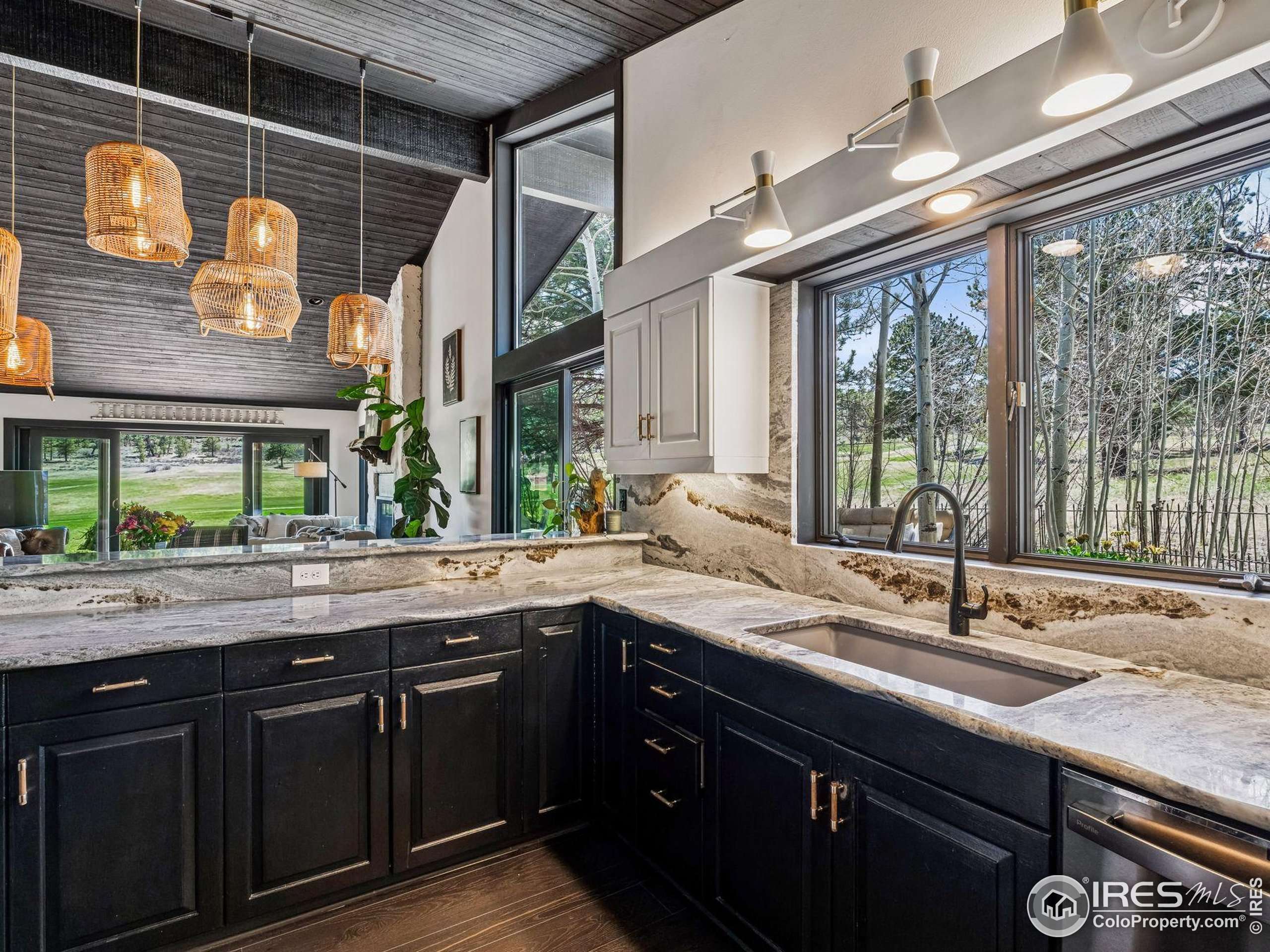 Red Feather Lakes, CO 80545,312 Fox Acres Dr W