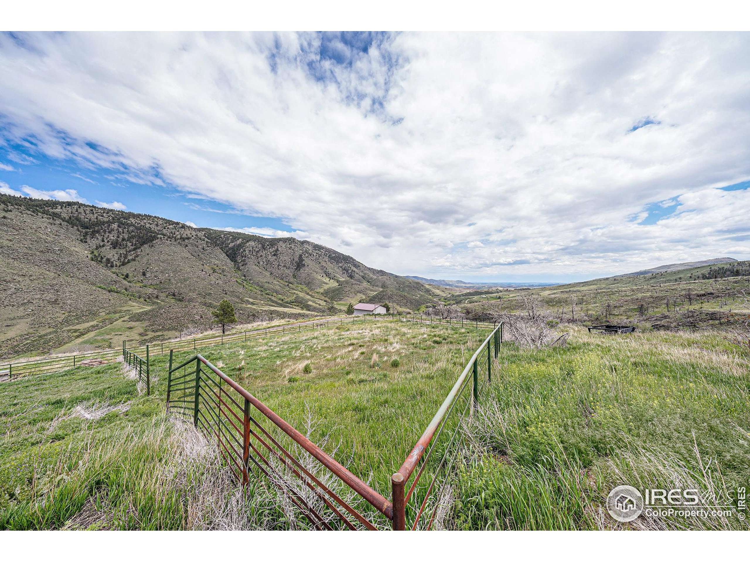 Bellvue, CO 80512,439 Redtail Ridge Way