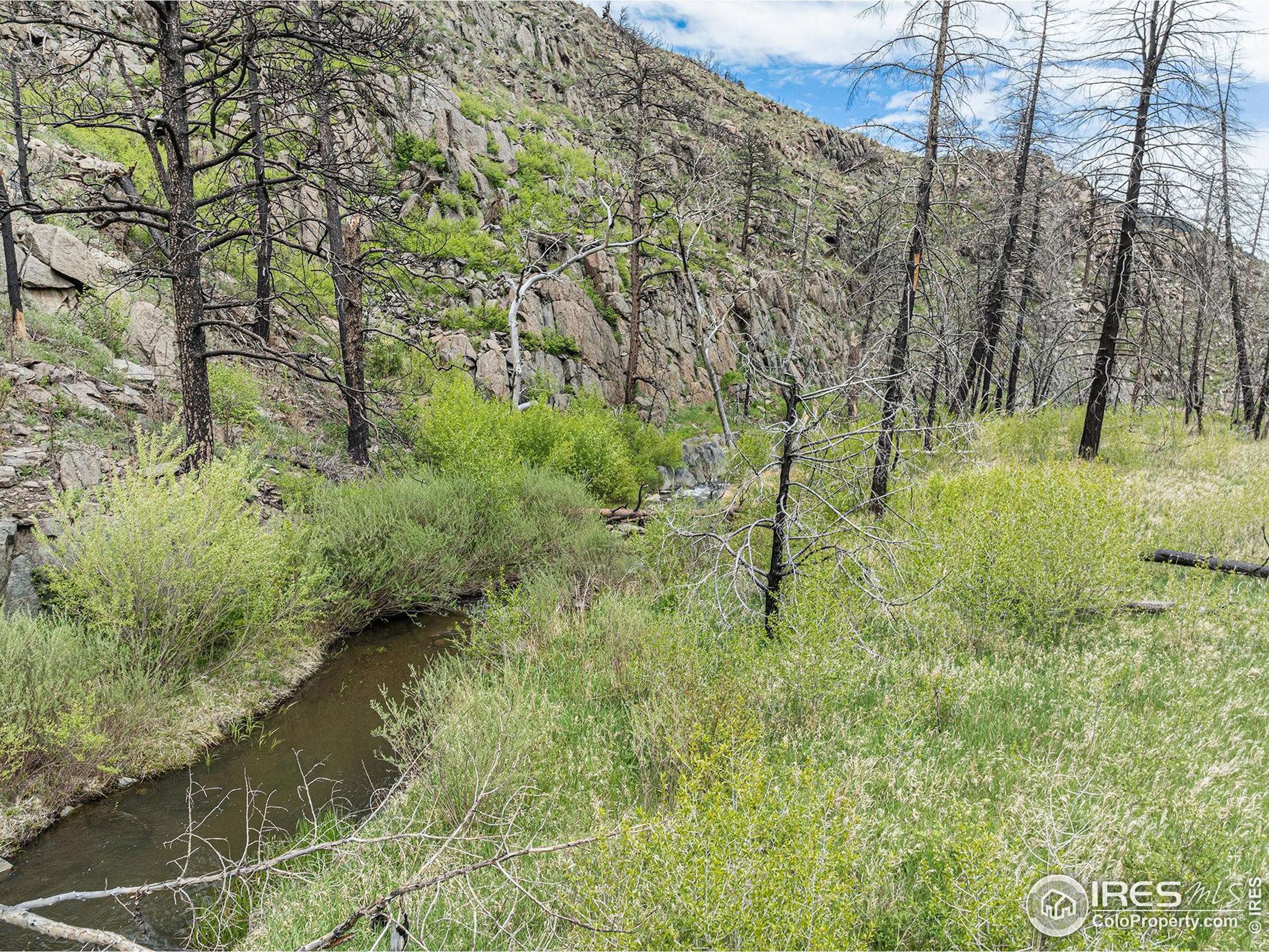 Bellvue, CO 80512,439 Redtail Ridge Way