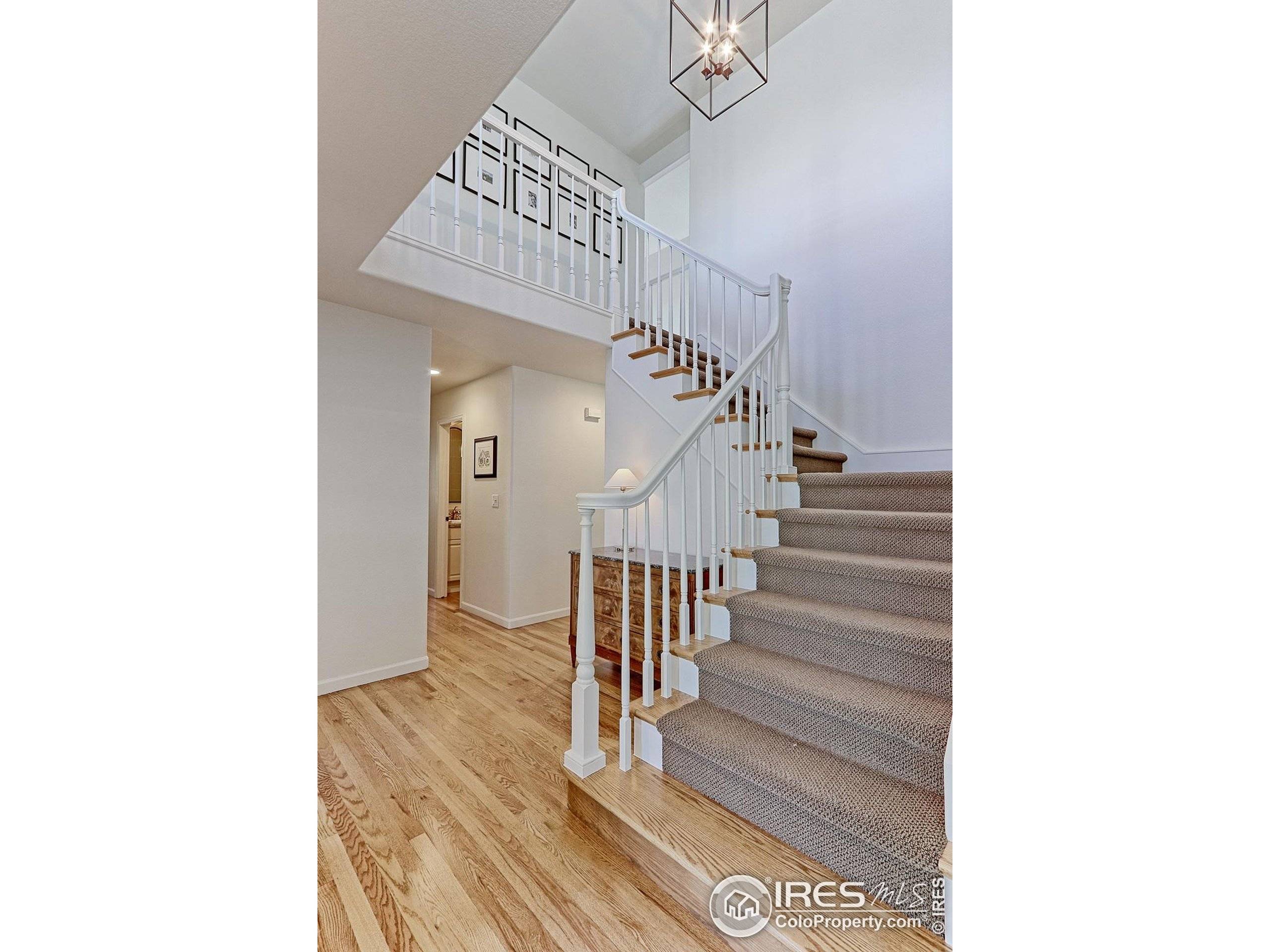 Broomfield, CO 80020,540 Columbine Ave
