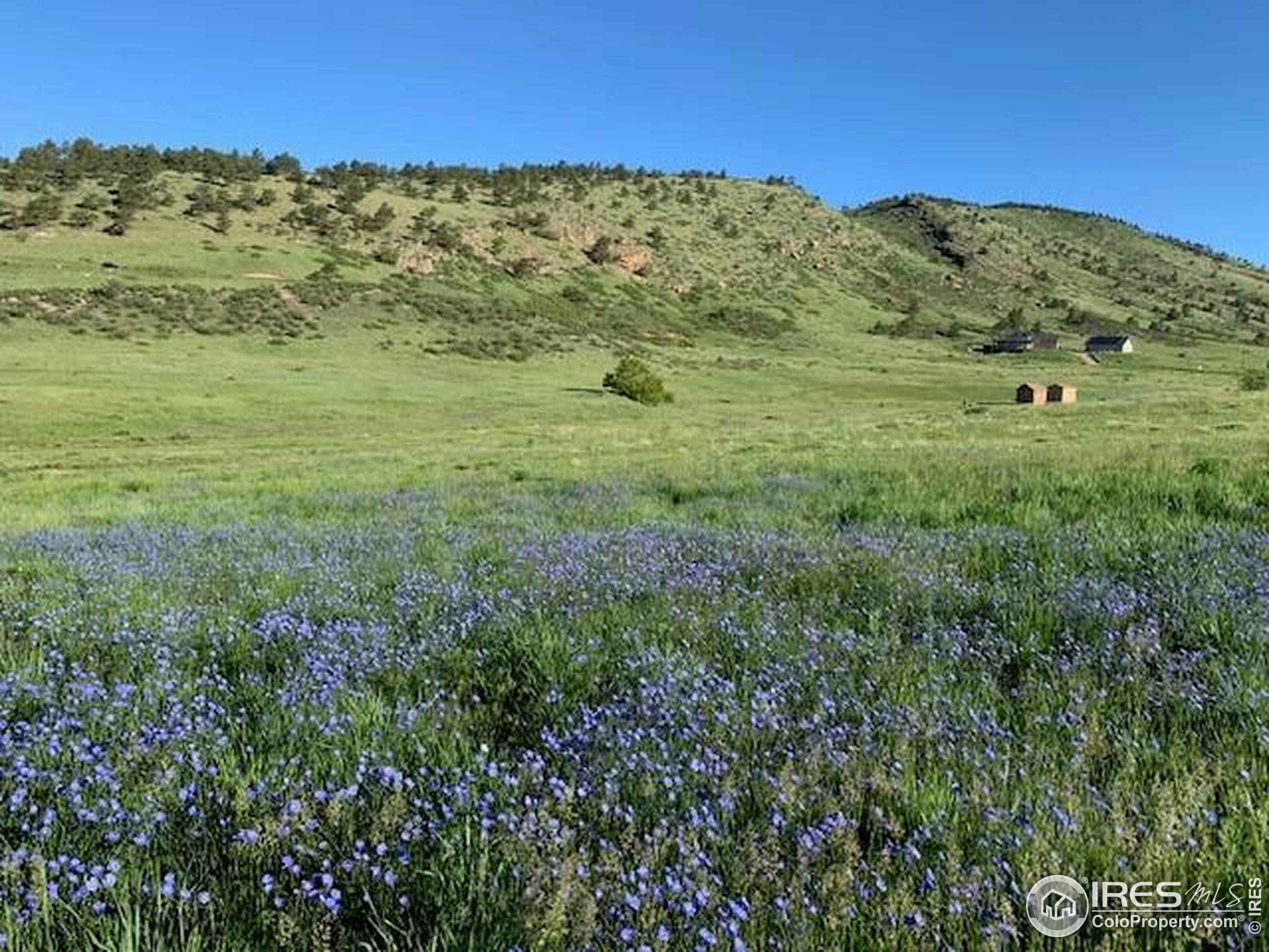 Lyons, CO 80540,223 Stone Canyon Rd