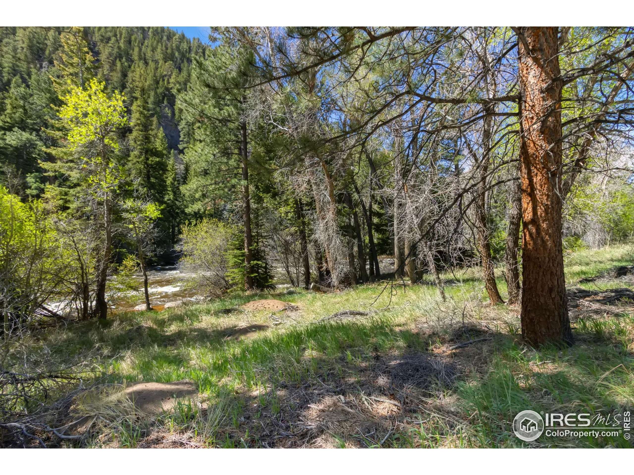 Bellvue, CO 80512,34828 W Highway 14