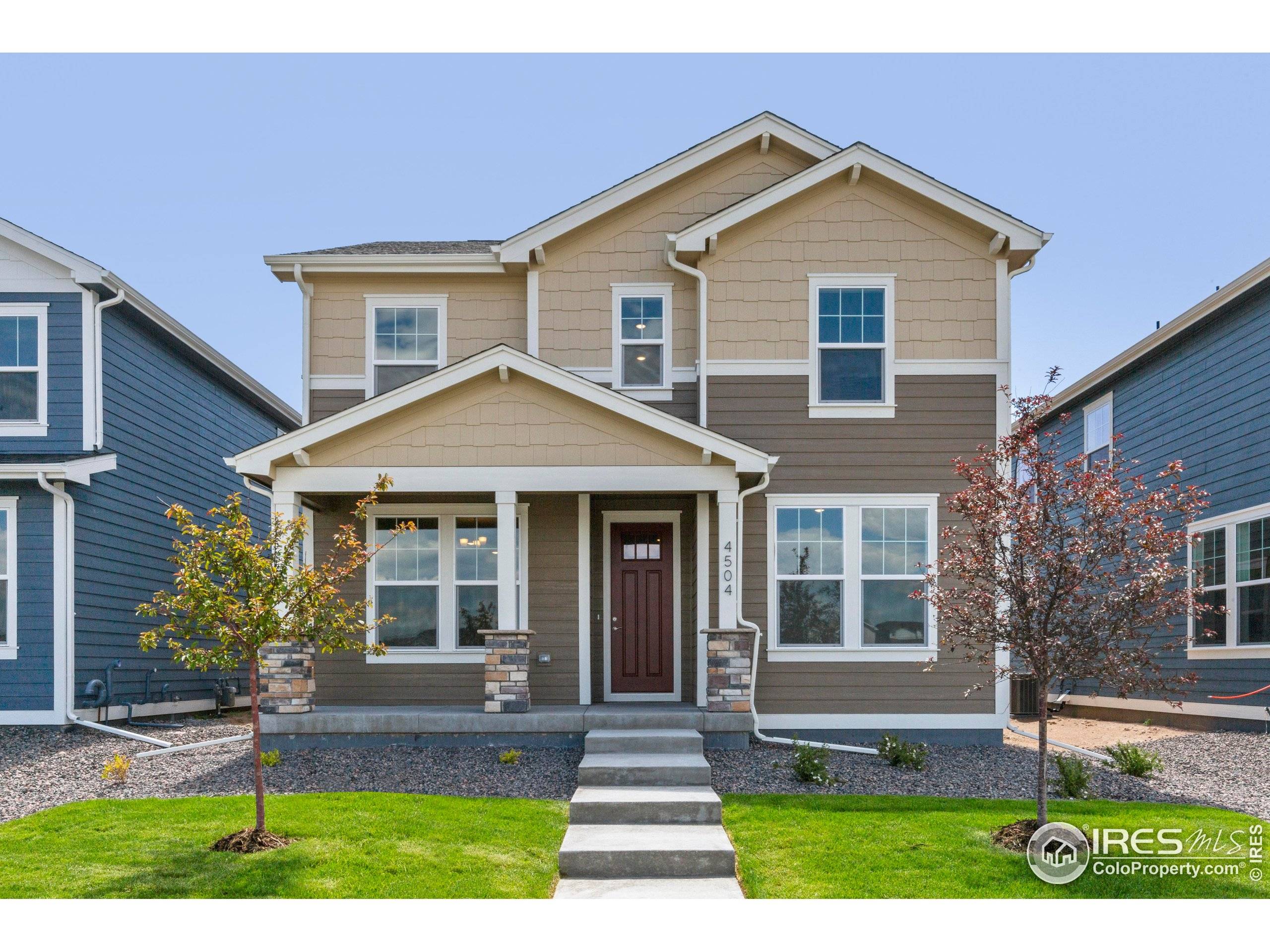 Timnath, CO 80547,4504 Burl St
