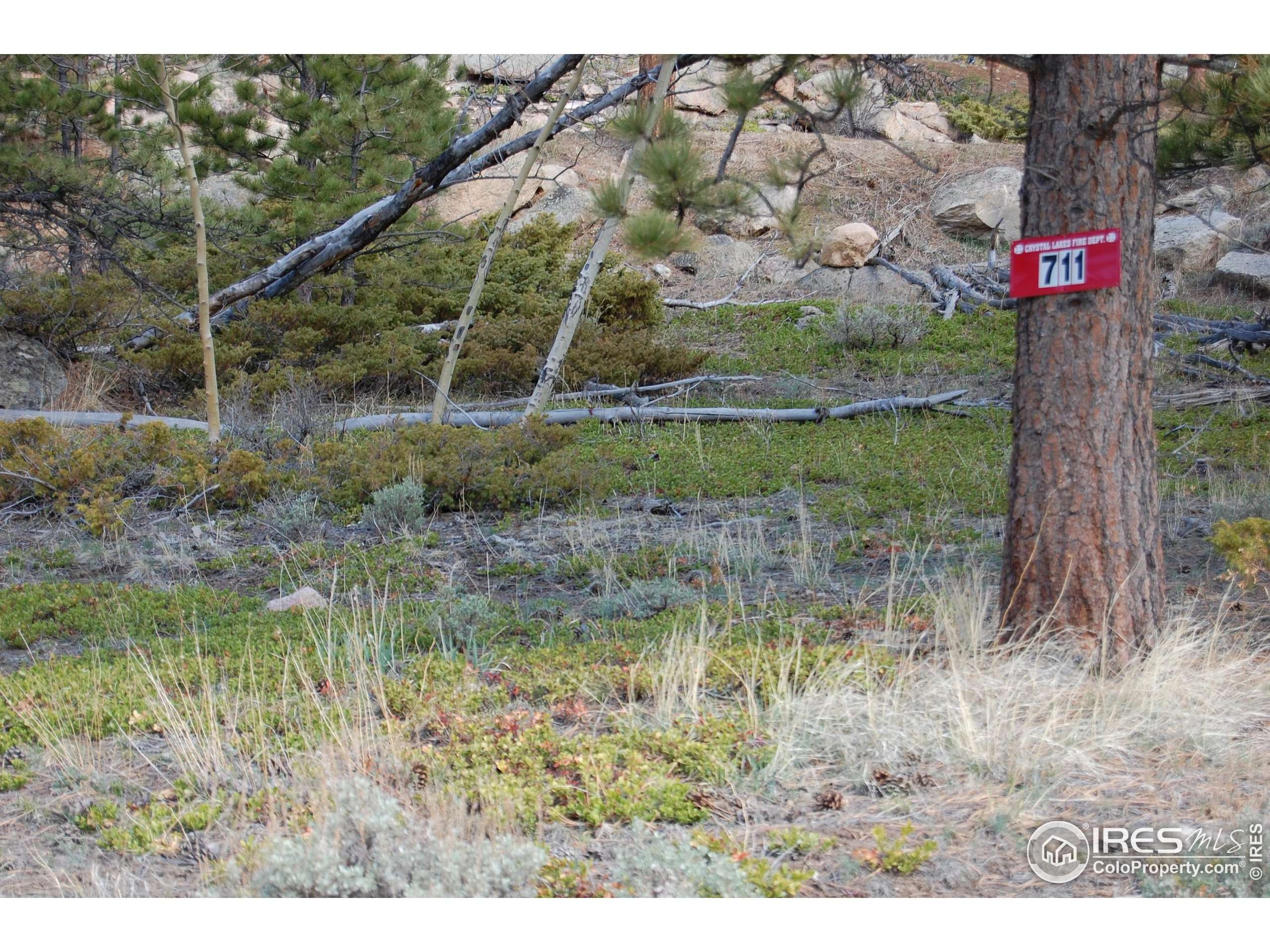 Red Feather Lakes, CO 80545,711 Osage Trl
