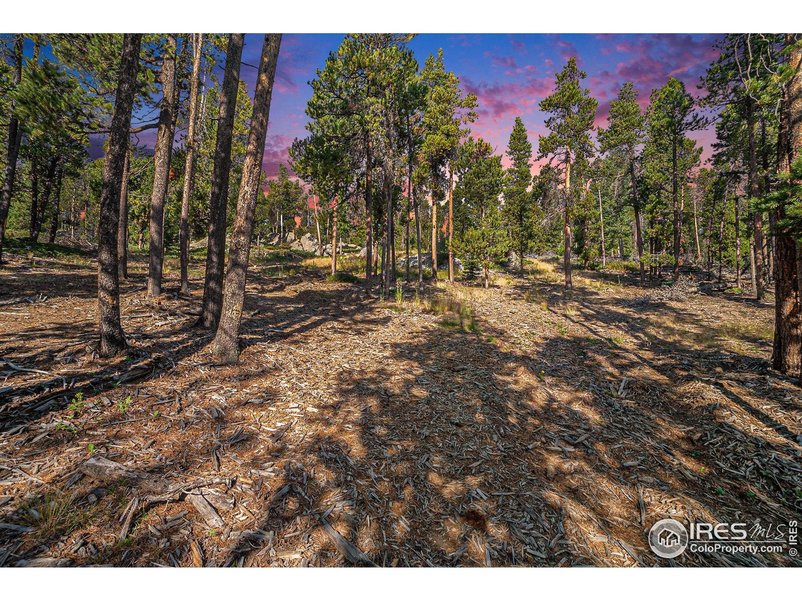 Drake, CO 80515,231 Granite Dr