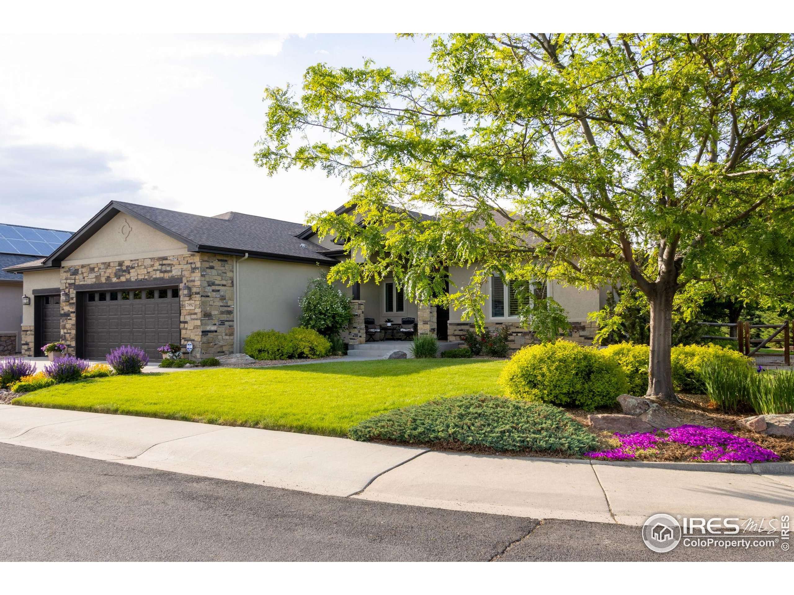 Windsor, CO 80550,7992 Rising Sun Ct