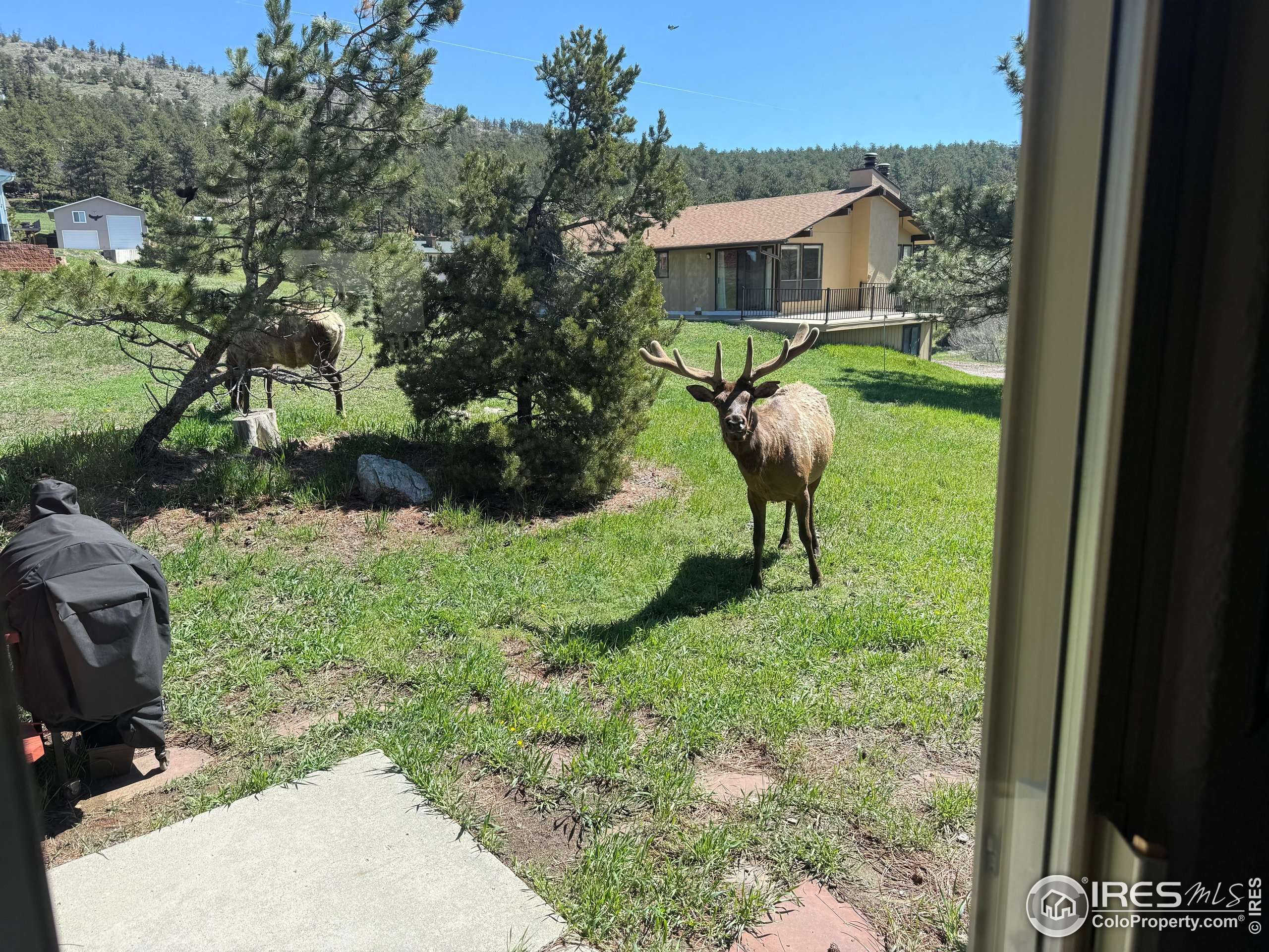 Loveland, CO 80537,60 Sylvia Ct