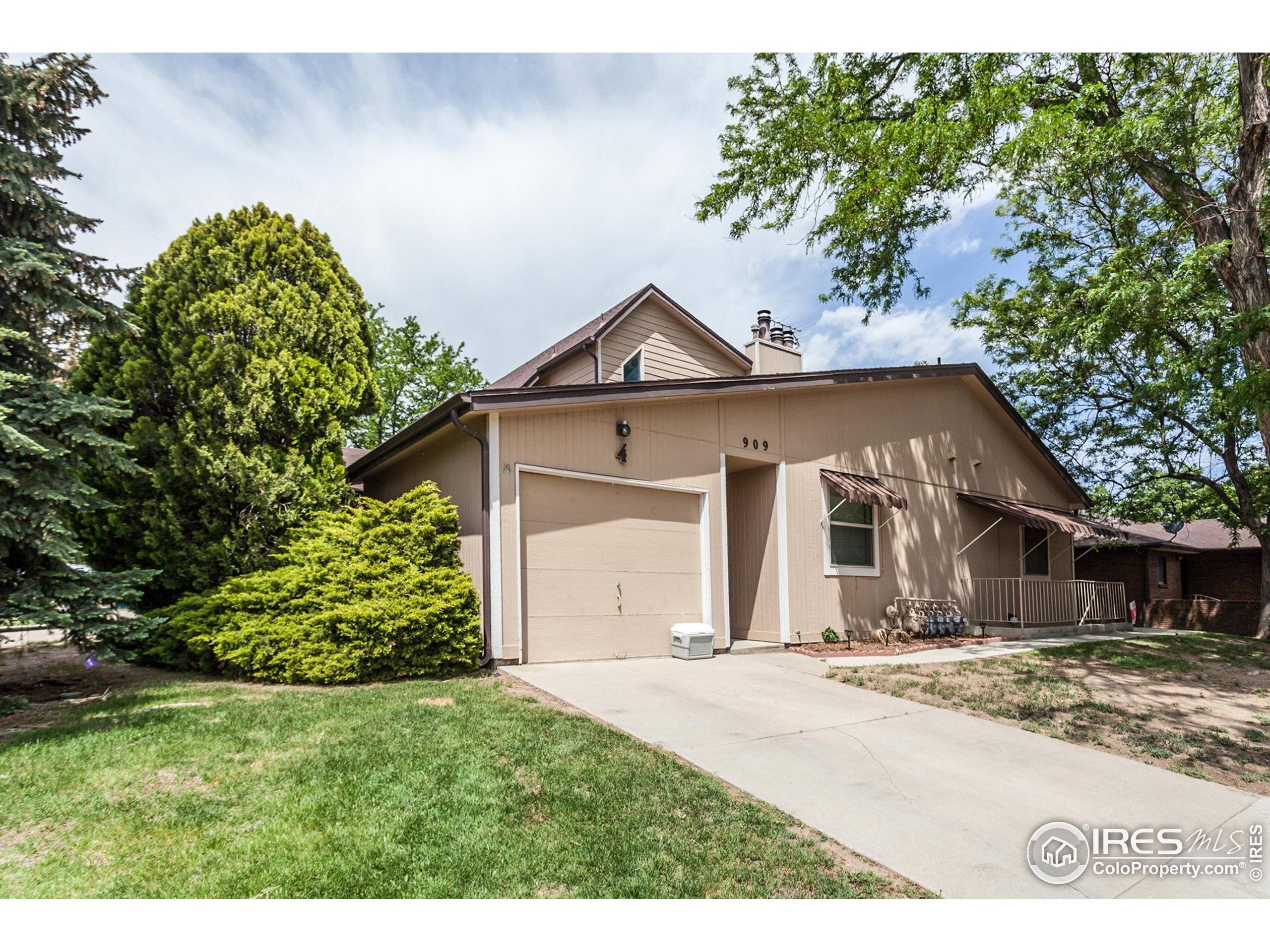 Windsor, CO 80550,909 Conifer Ct #3