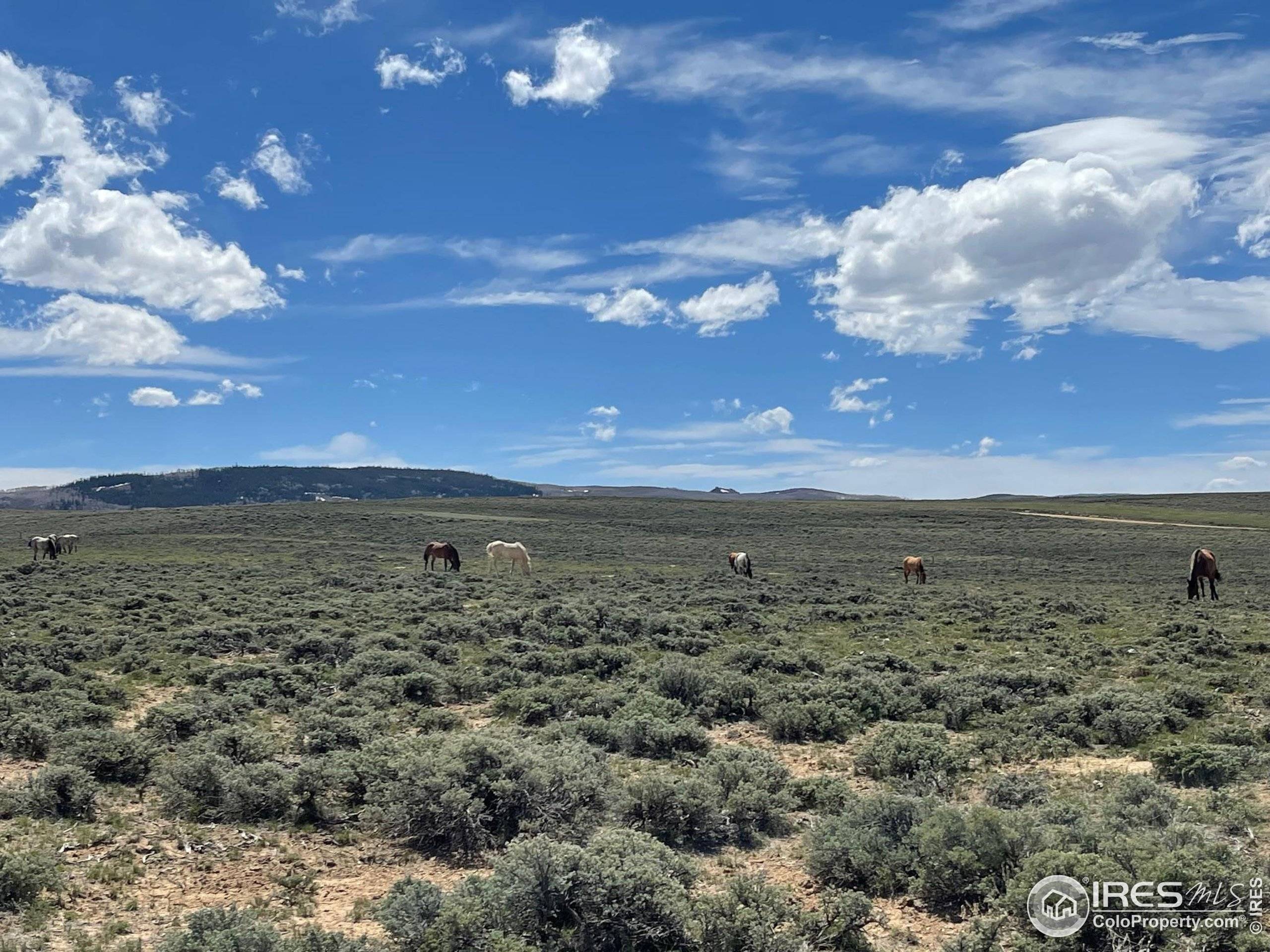 Walden, CO 80480,Jackson County Road 26
