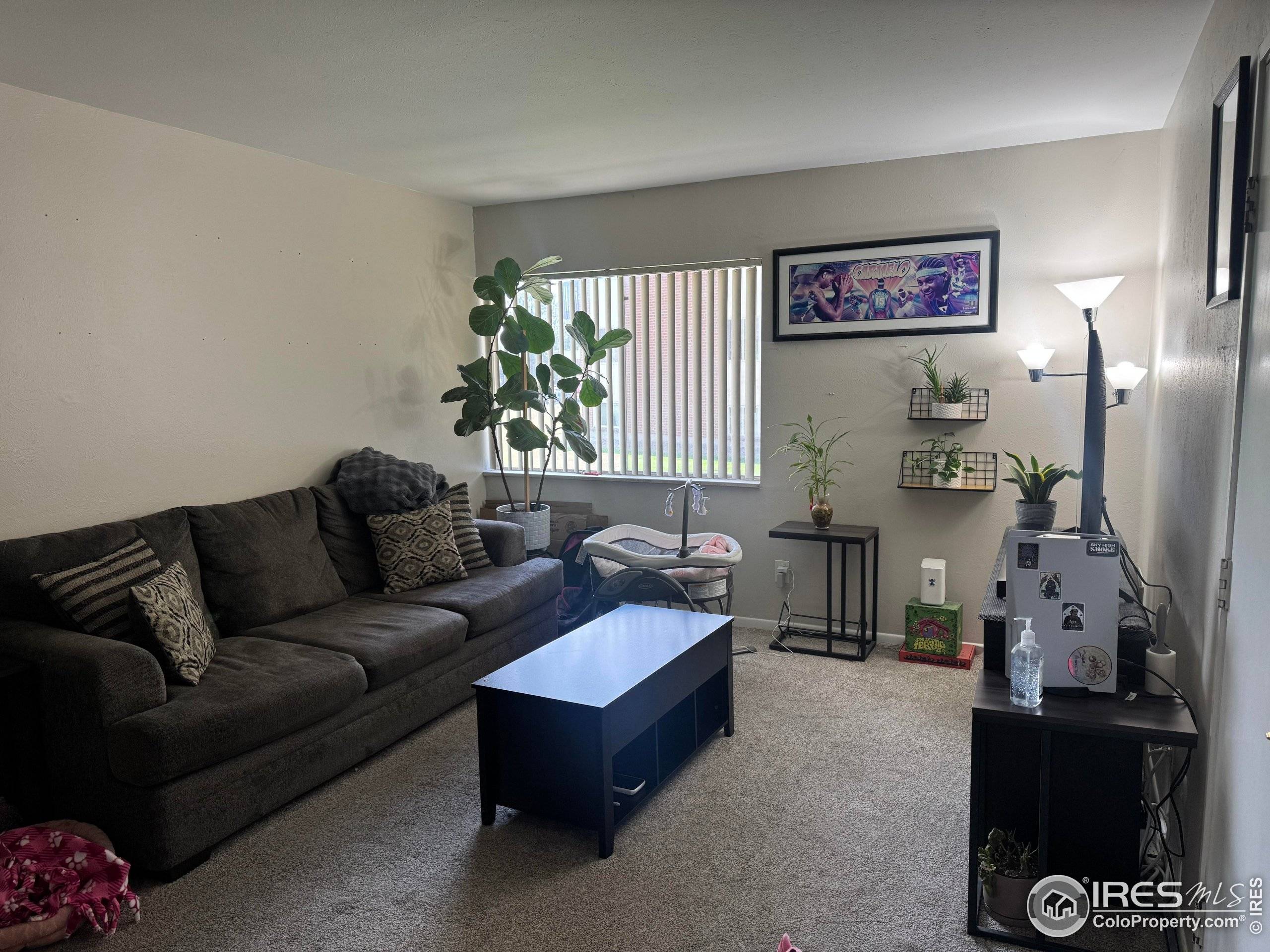 Lakewood, CO 80235,3623 S Sheridan Blvd #11