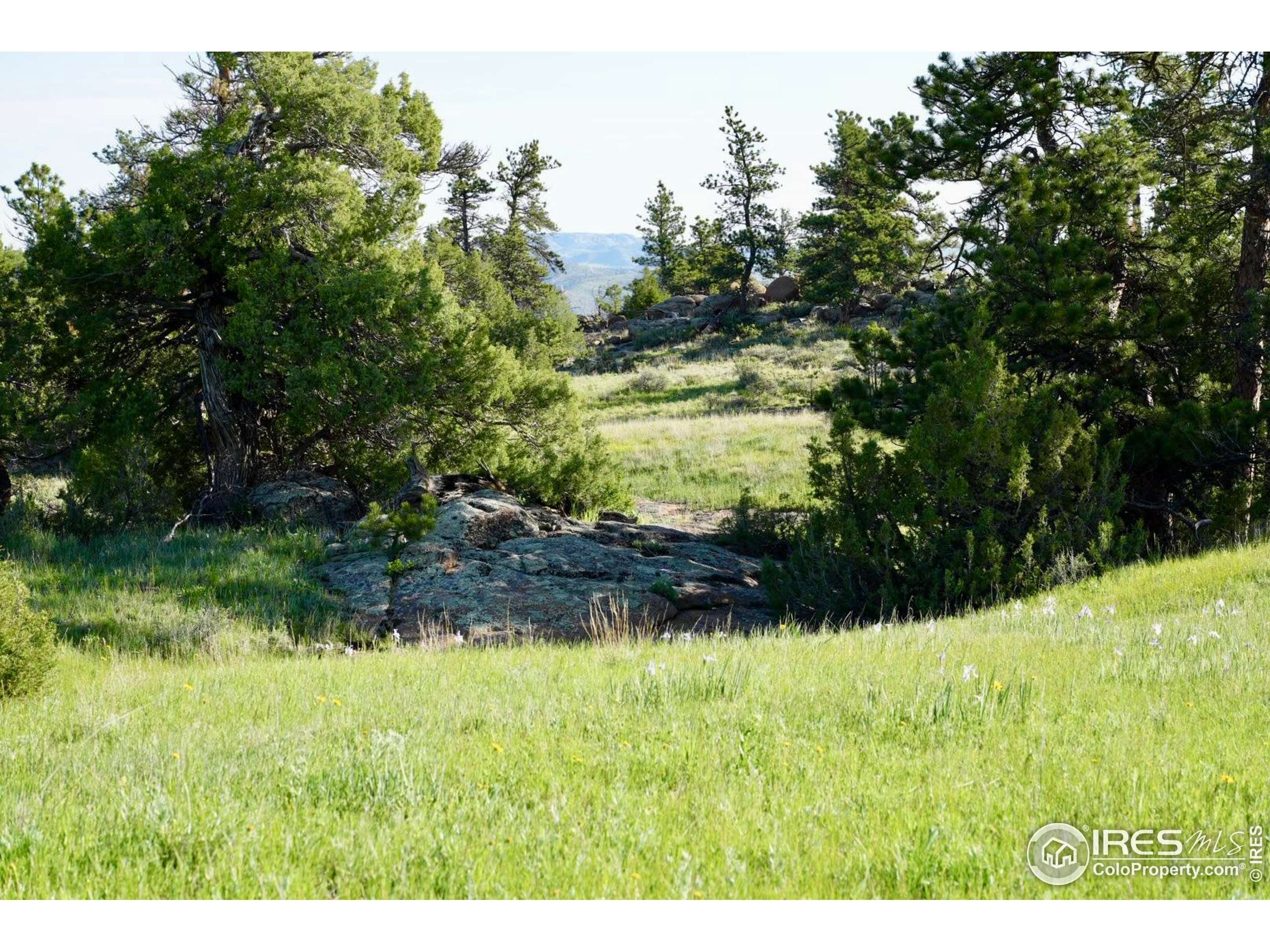Livermore, CO 80536,0 82 E Rd