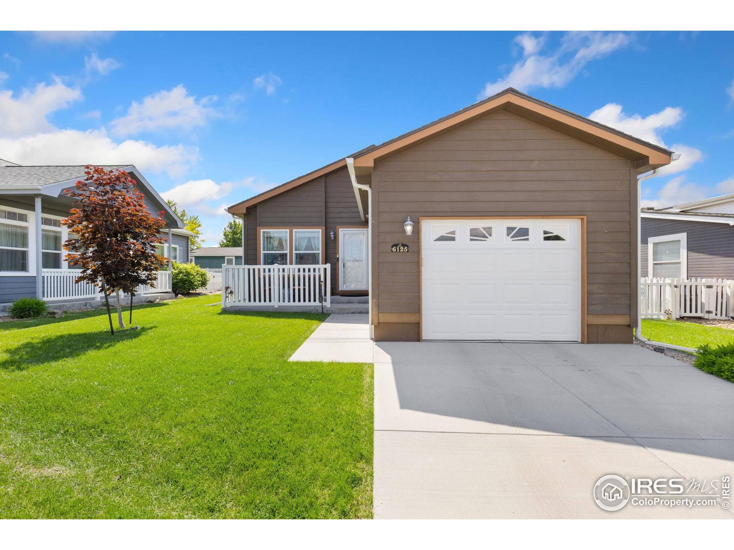 Frederick, CO 80530,6125 Mallow Grn