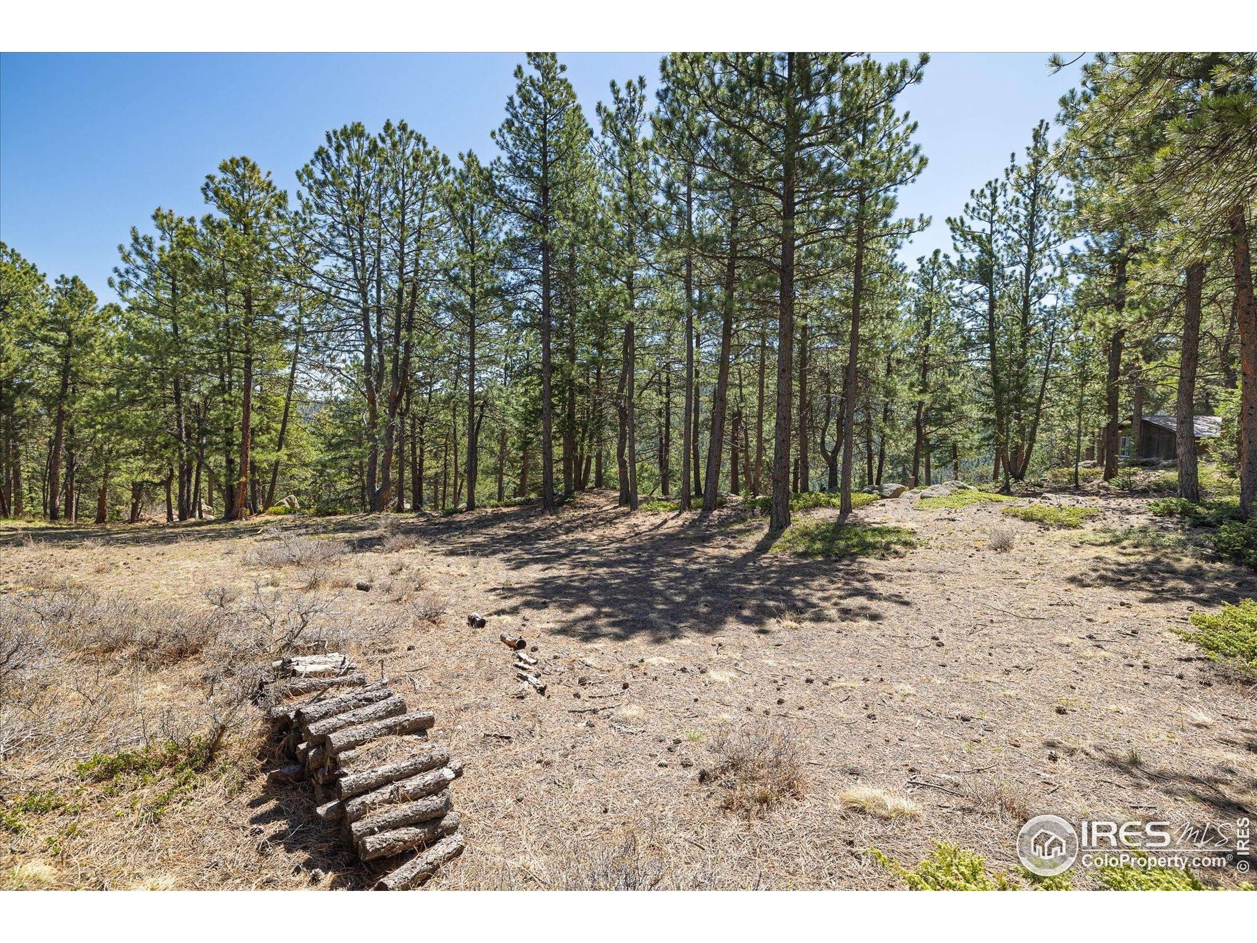 Nederland, CO 80466,213 Rocky Knob Ln