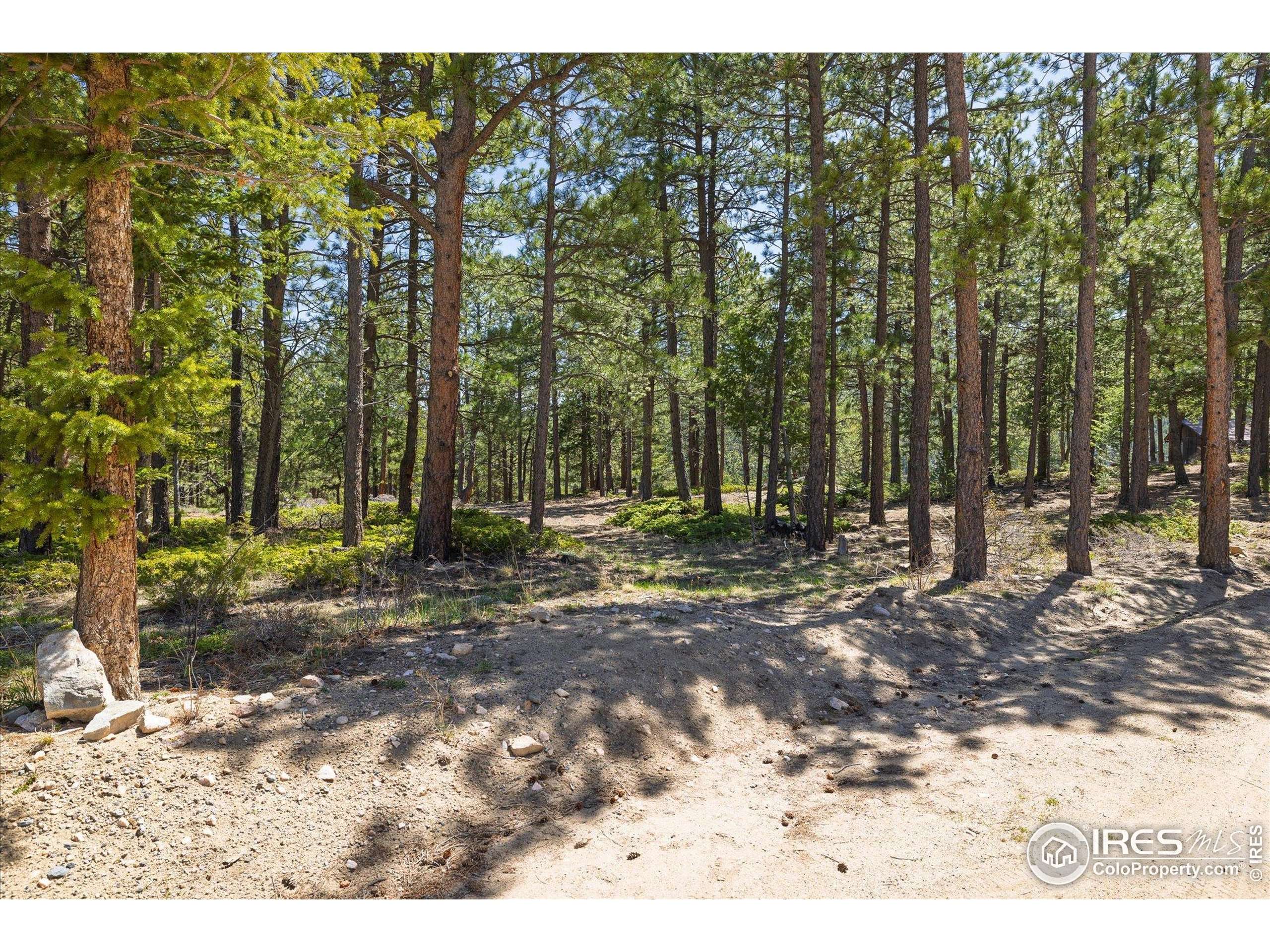 Nederland, CO 80466,213 Rocky Knob Ln