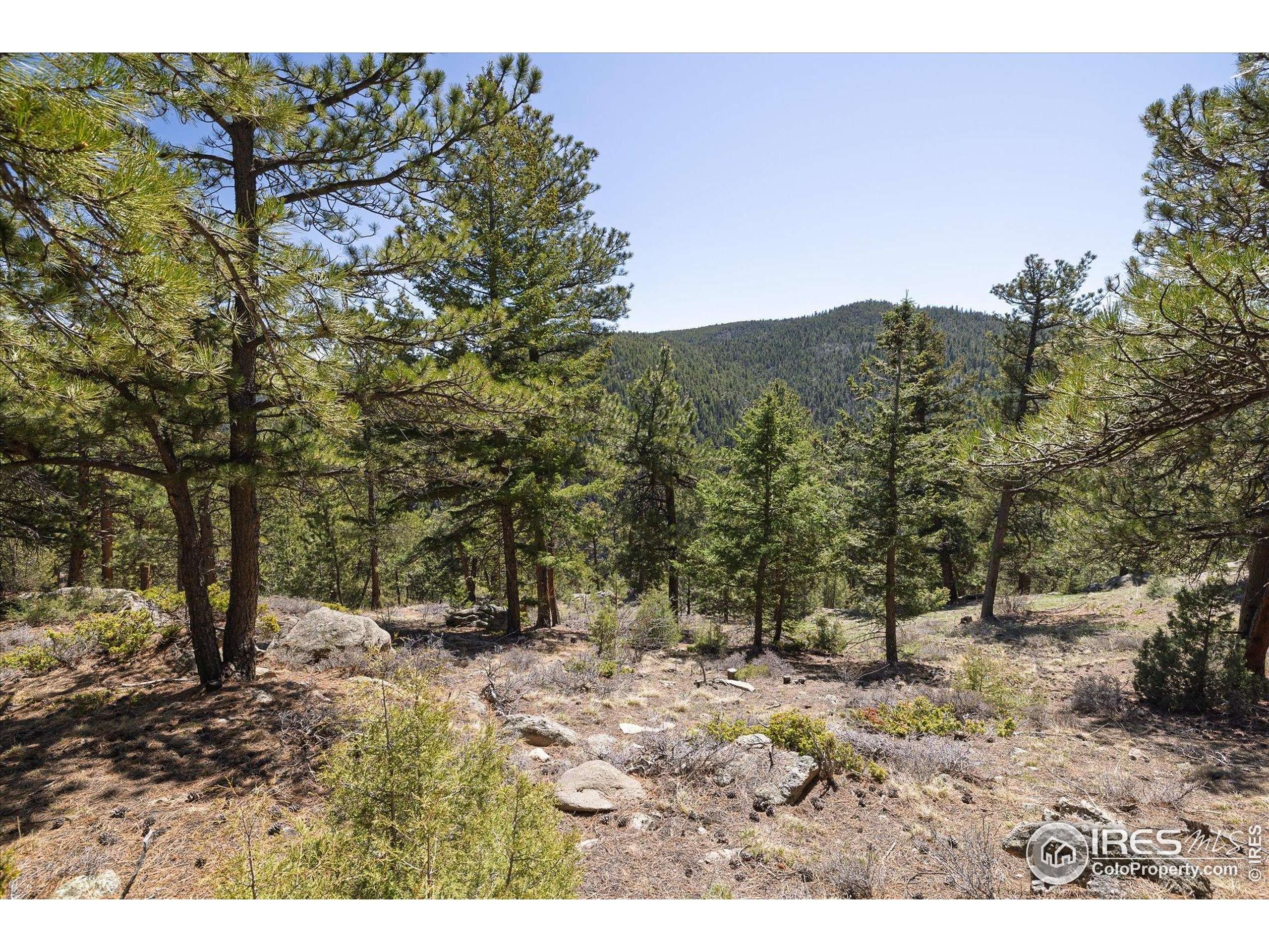 Nederland, CO 80466,213 Rocky Knob Ln