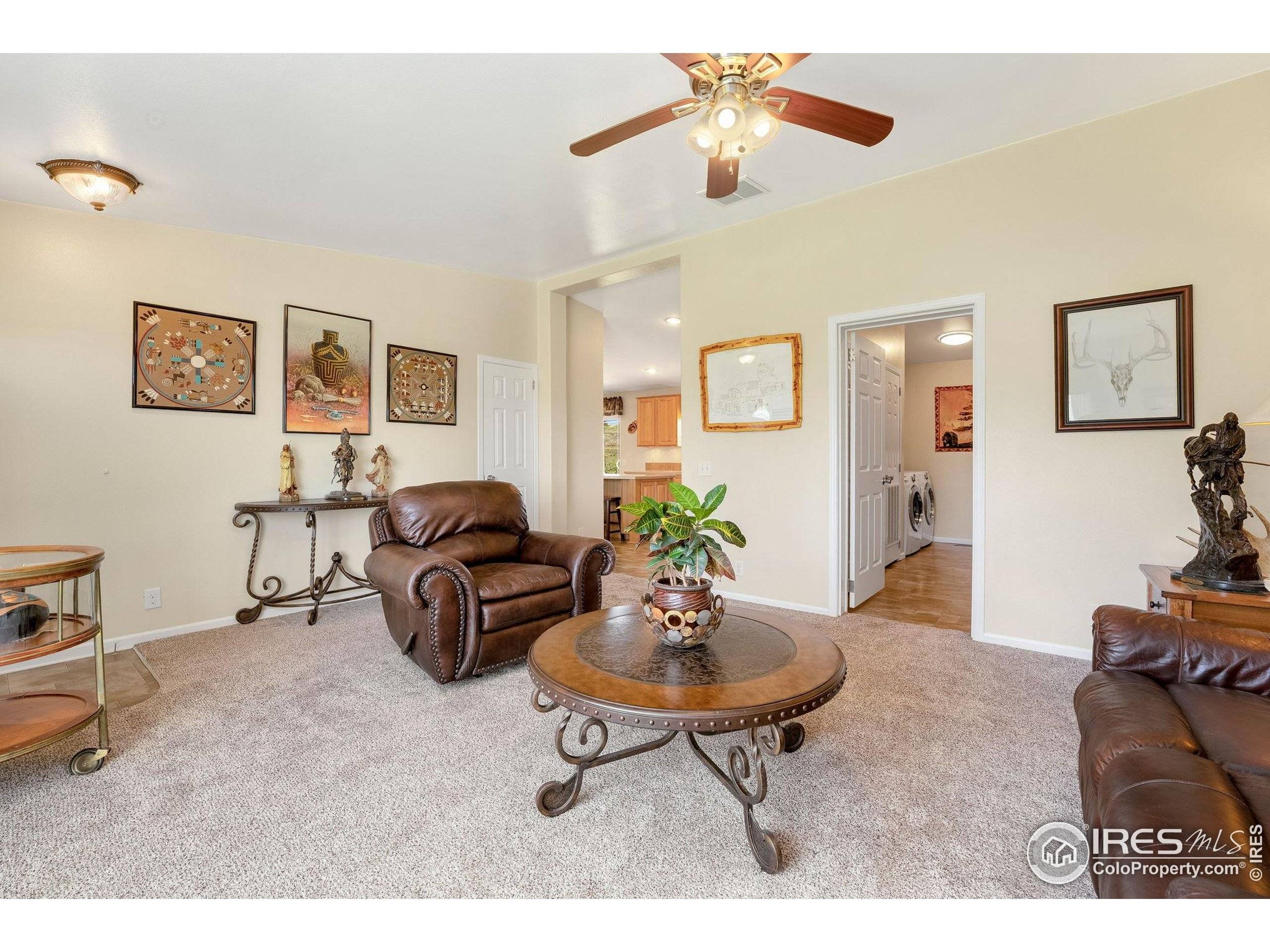 Livermore, CO 80536,572 Horse Mountain Dr