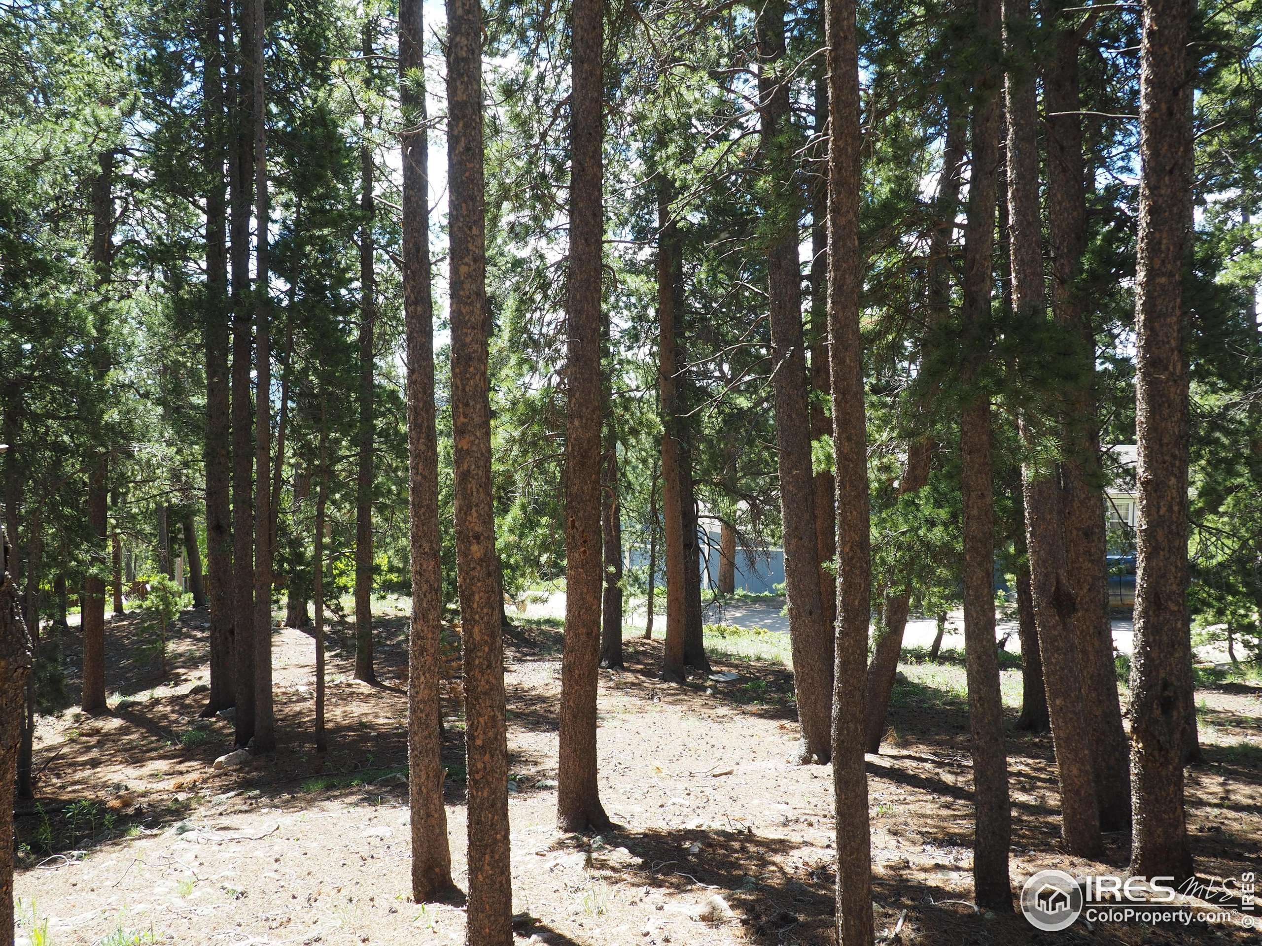 Black Hawk, CO 80422,0 Caesar Rd