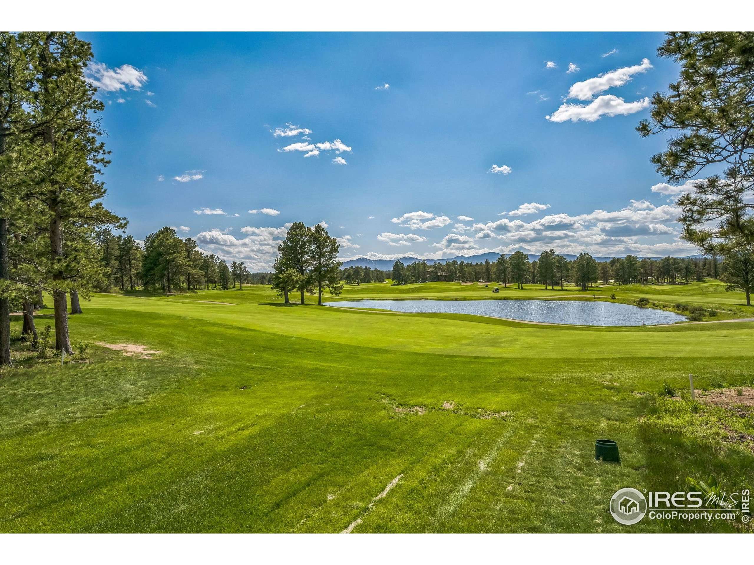 Red Feather Lakes, CO 80545,2415 Fox Acres Dr E
