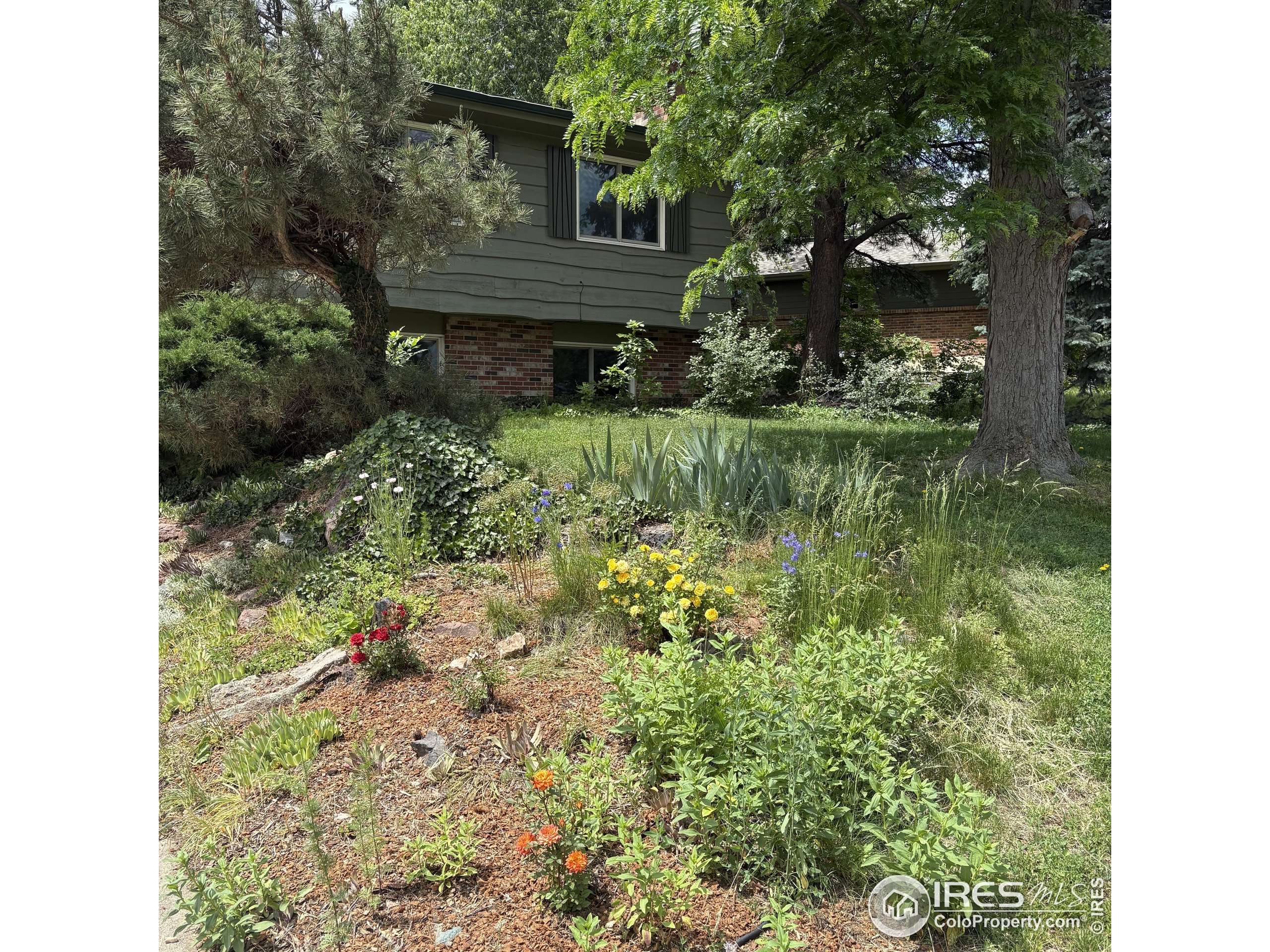 Boulder, CO 80305,3750 Emerson Ave