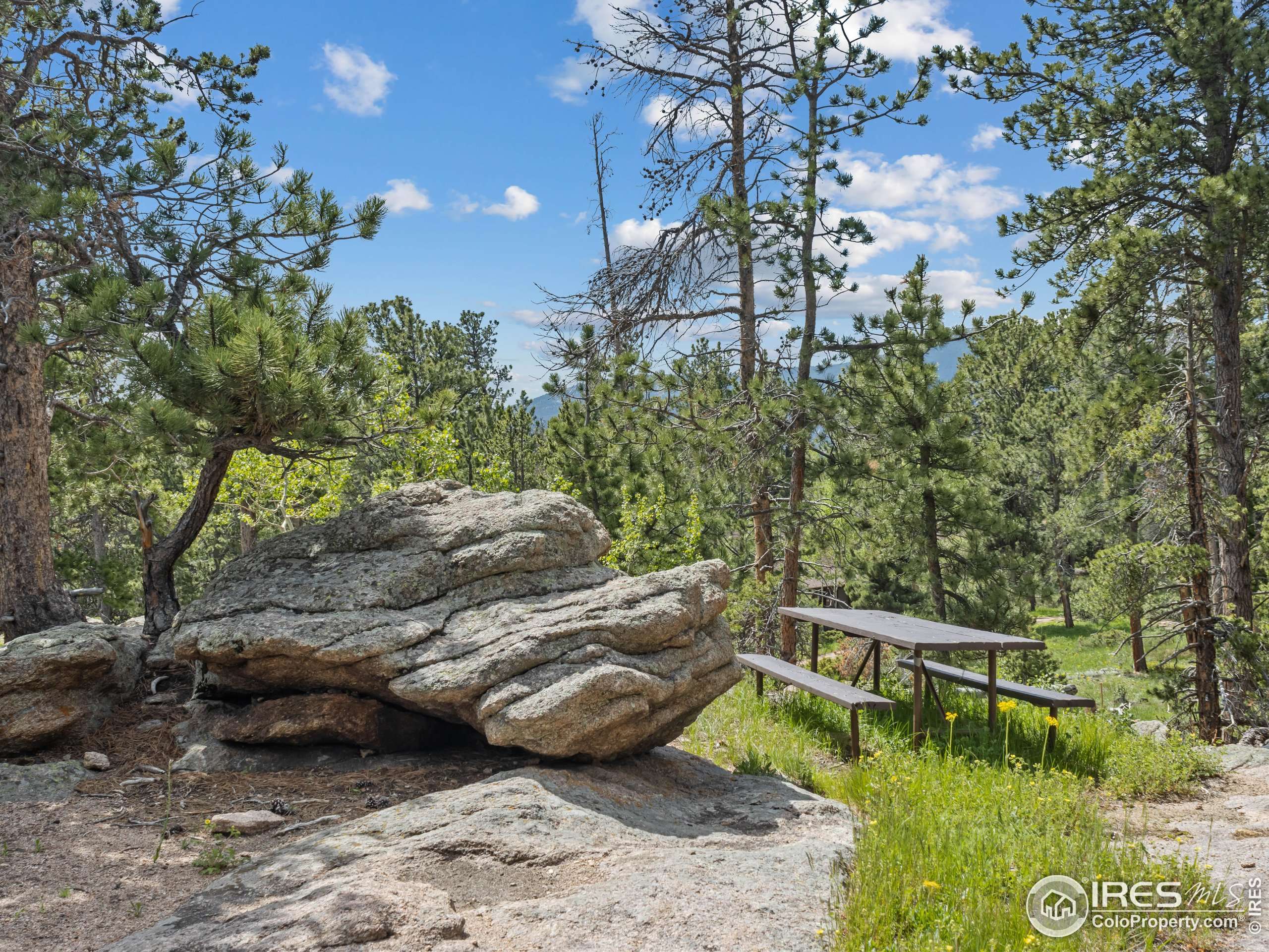 Allenspark, CO 80510,84 County Road 113 N