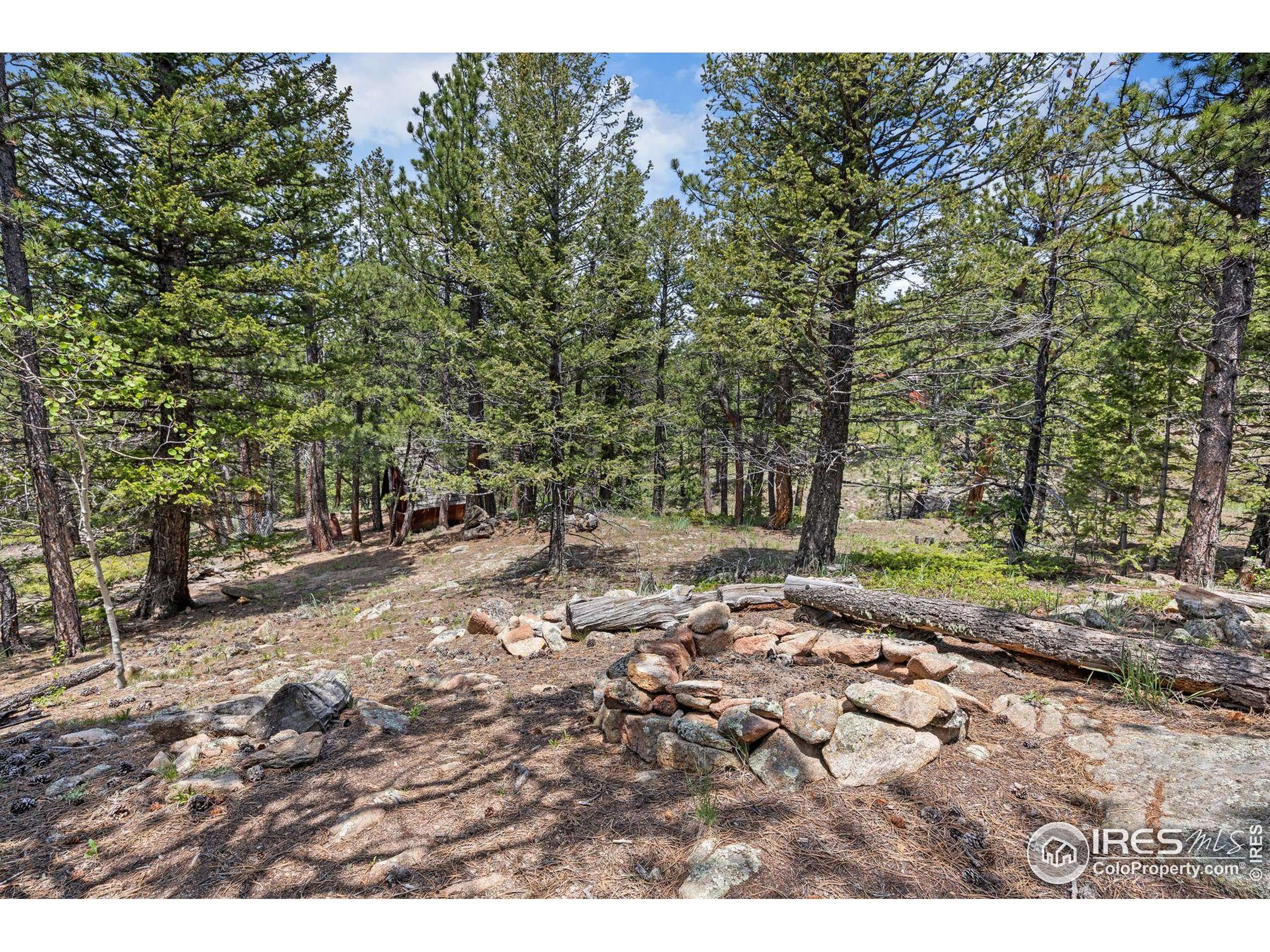 Ward, CO 80481,364 Overland Dr