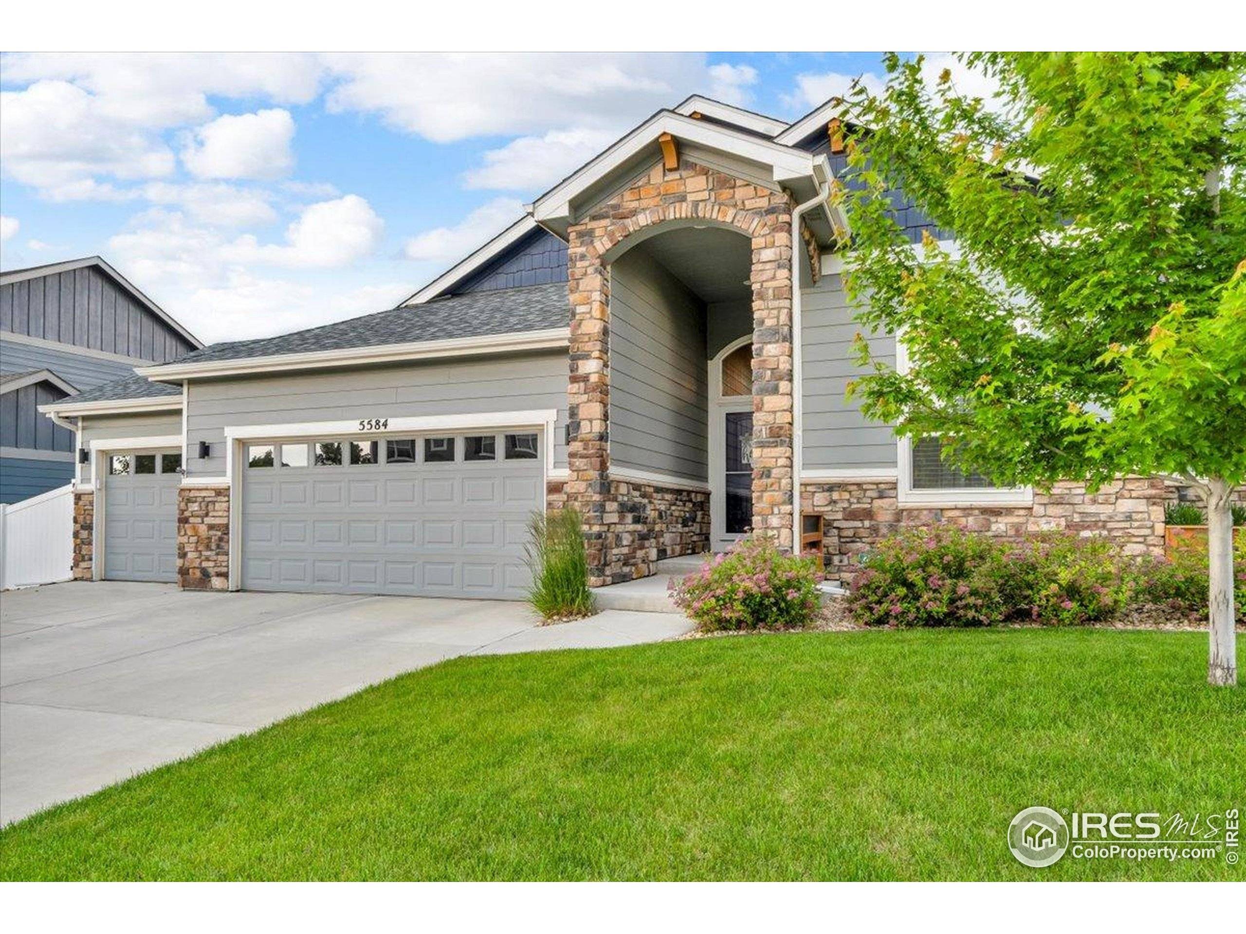 Windsor, CO 80550,5584 Chantry Dr