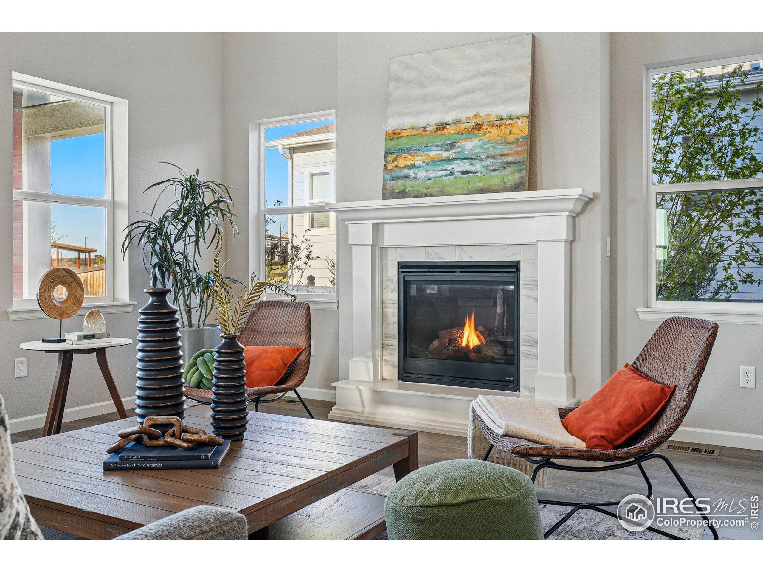 Castle Rock, CO 80108,4825 Basalt Ridge Cir