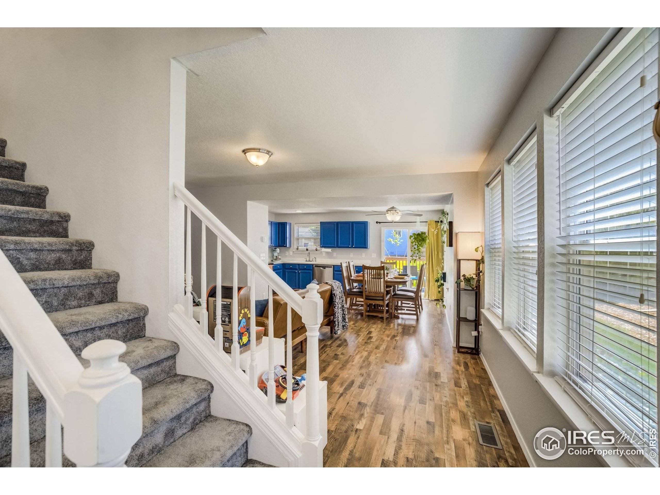 Dacono, CO 80514,533 Horizon Pl