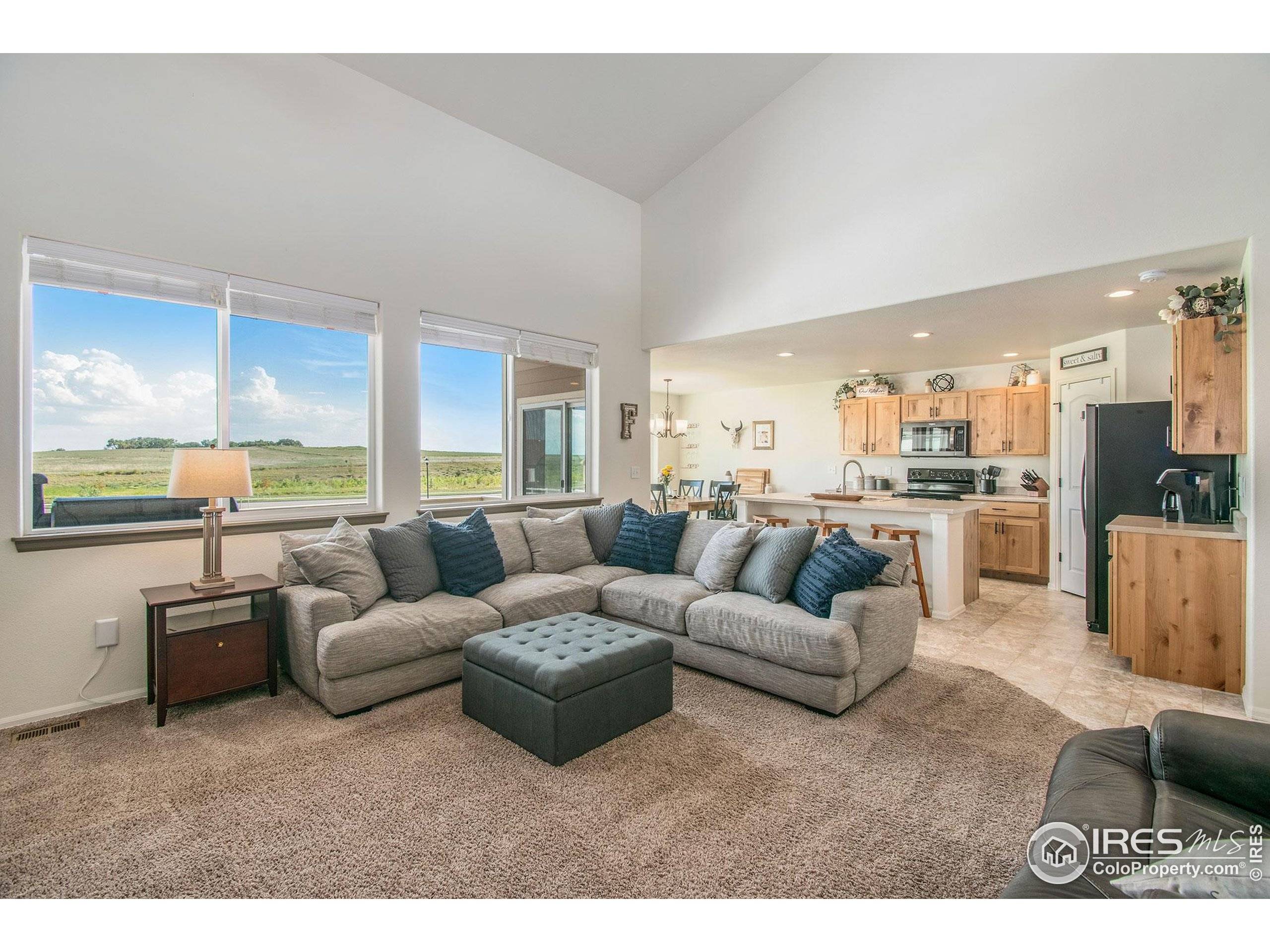 Severance, CO 80550,1103 Ibex Dr