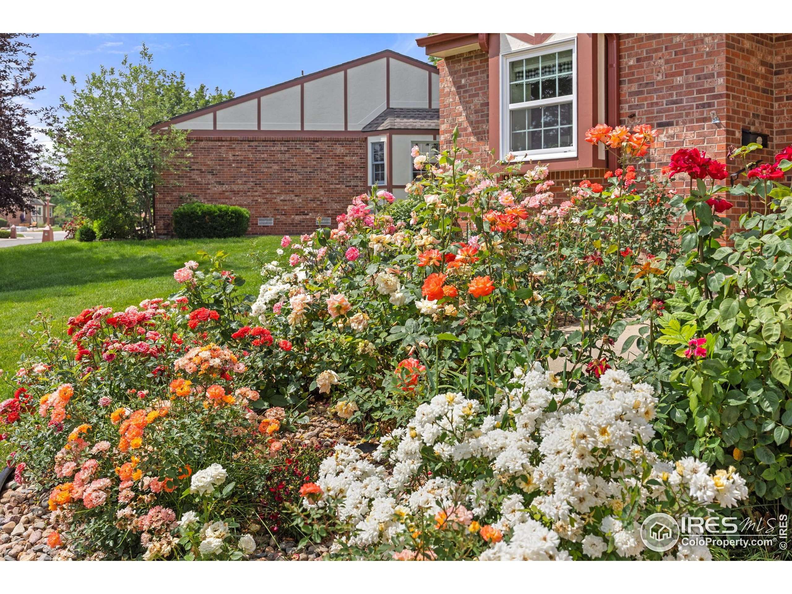 Longmont, CO 80503,1443 Elmhurst Ct