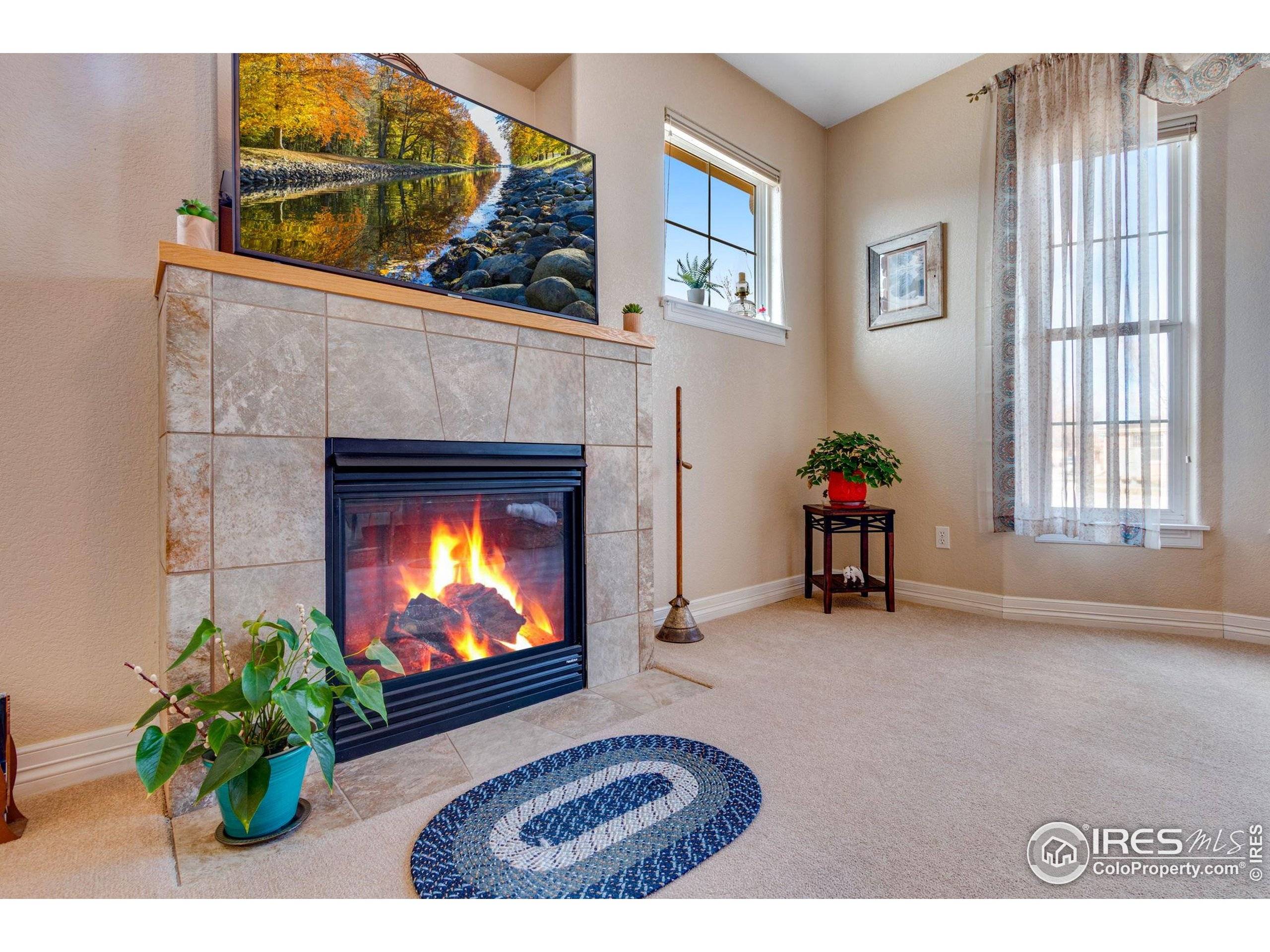 Loveland, CO 80537,1238 Inca Dove Cir