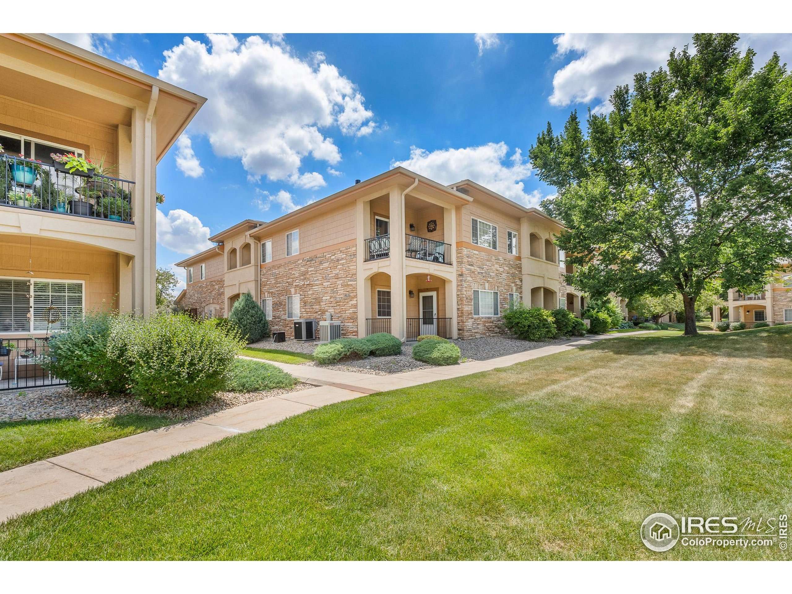 Longmont, CO 80504,1703 Whitehall Dr #G