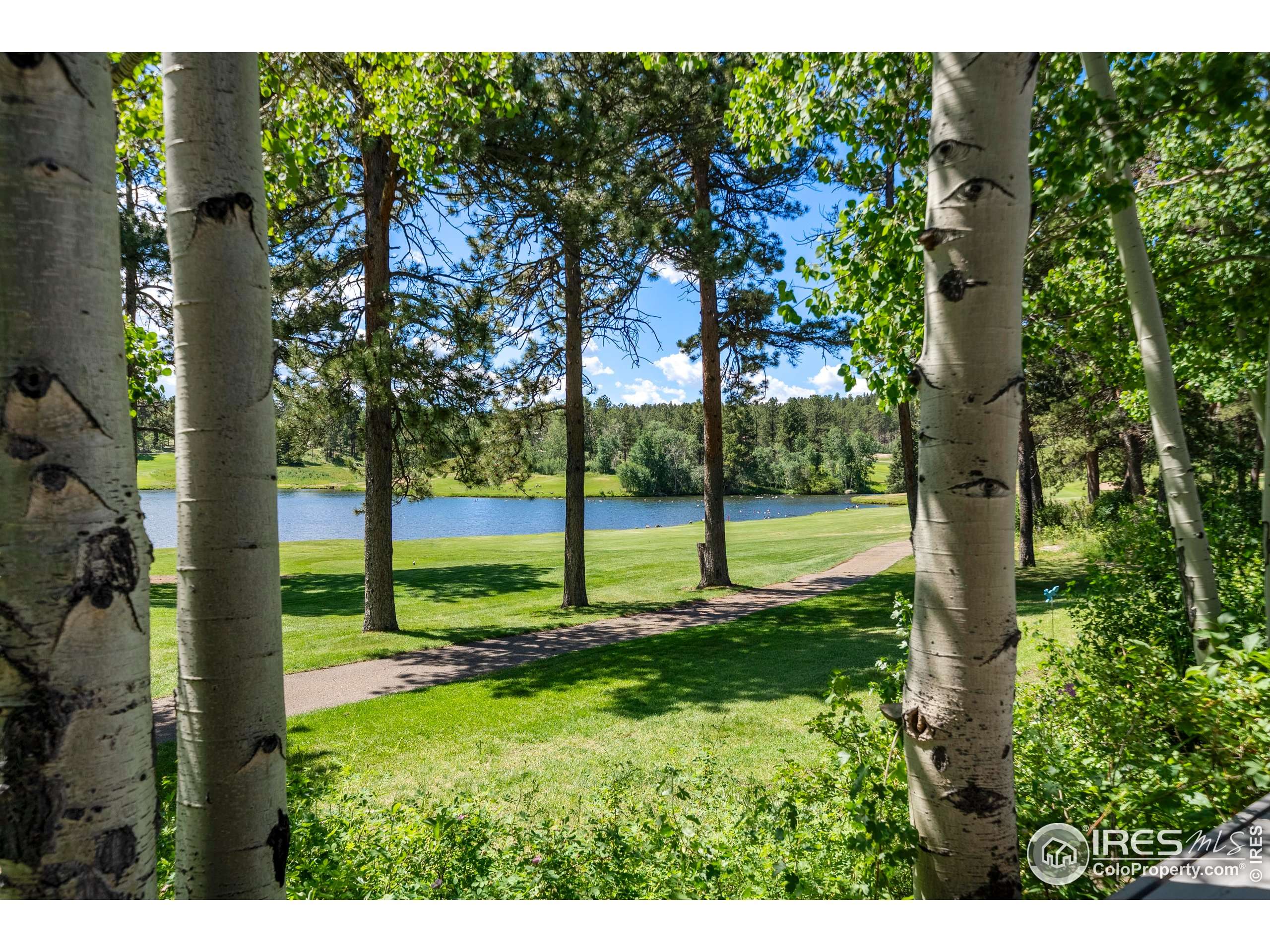 Red Feather Lakes, CO 80545,210 Fox Acres Dr W