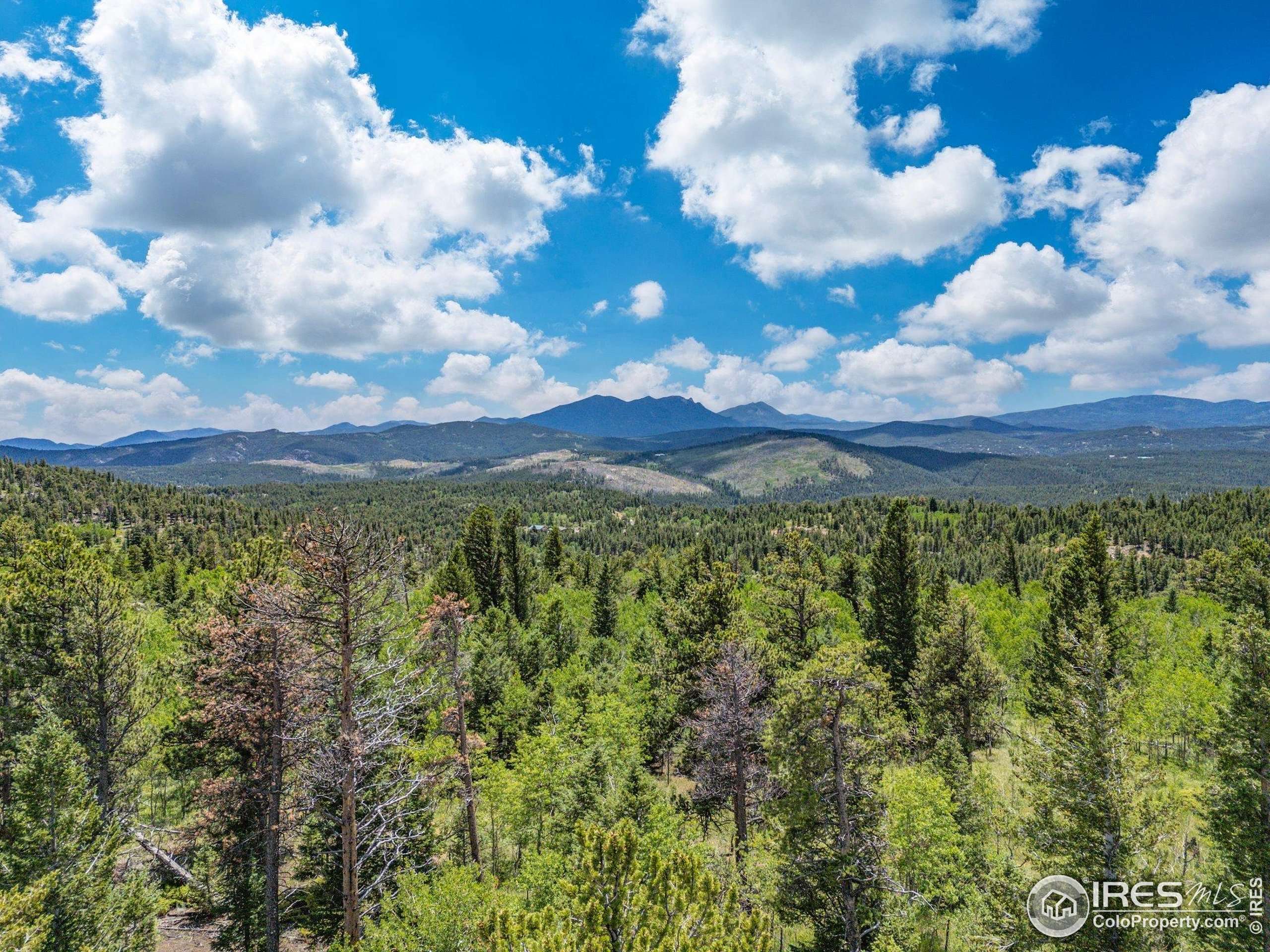 Nederland, CO 80466,1568 County Road 103