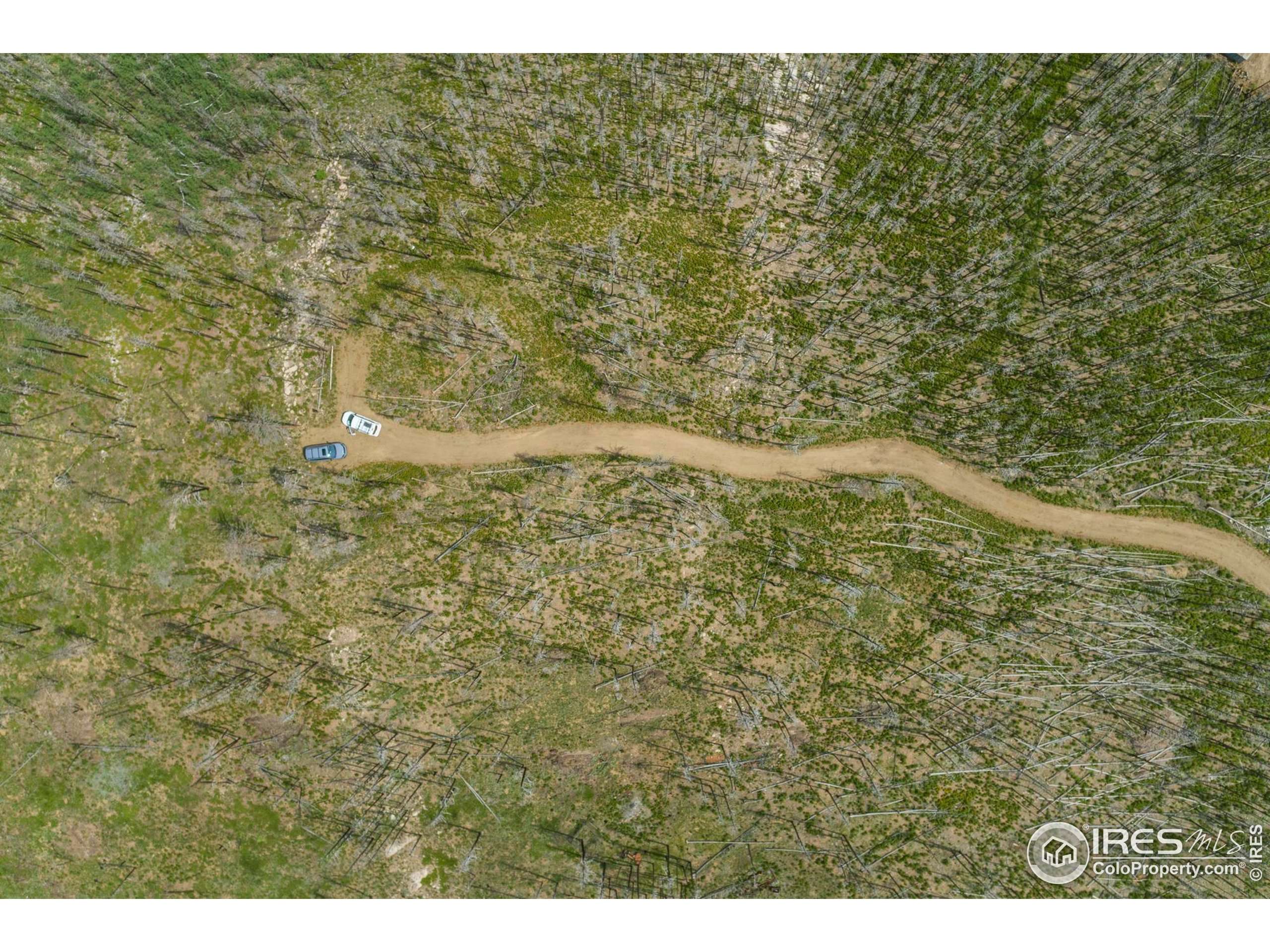 Bellvue, CO 80512,1025 Crystal Mountain Rd