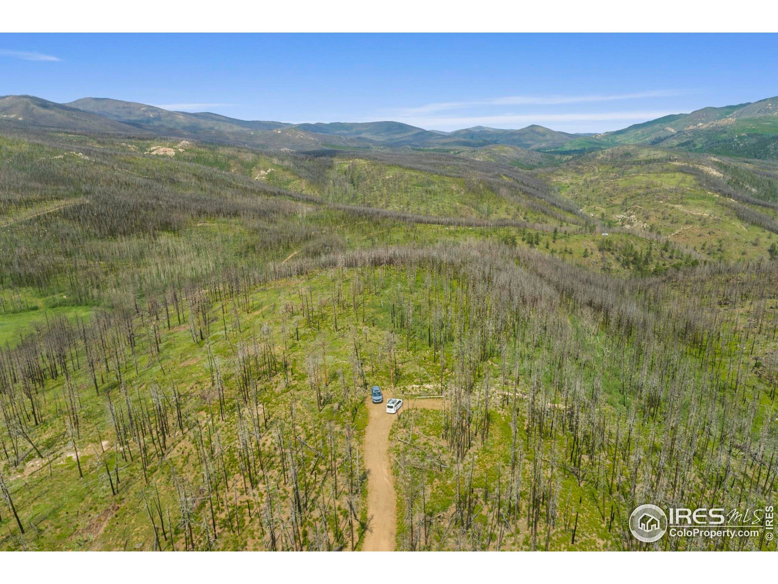 Bellvue, CO 80512,1025 Crystal Mountain Rd
